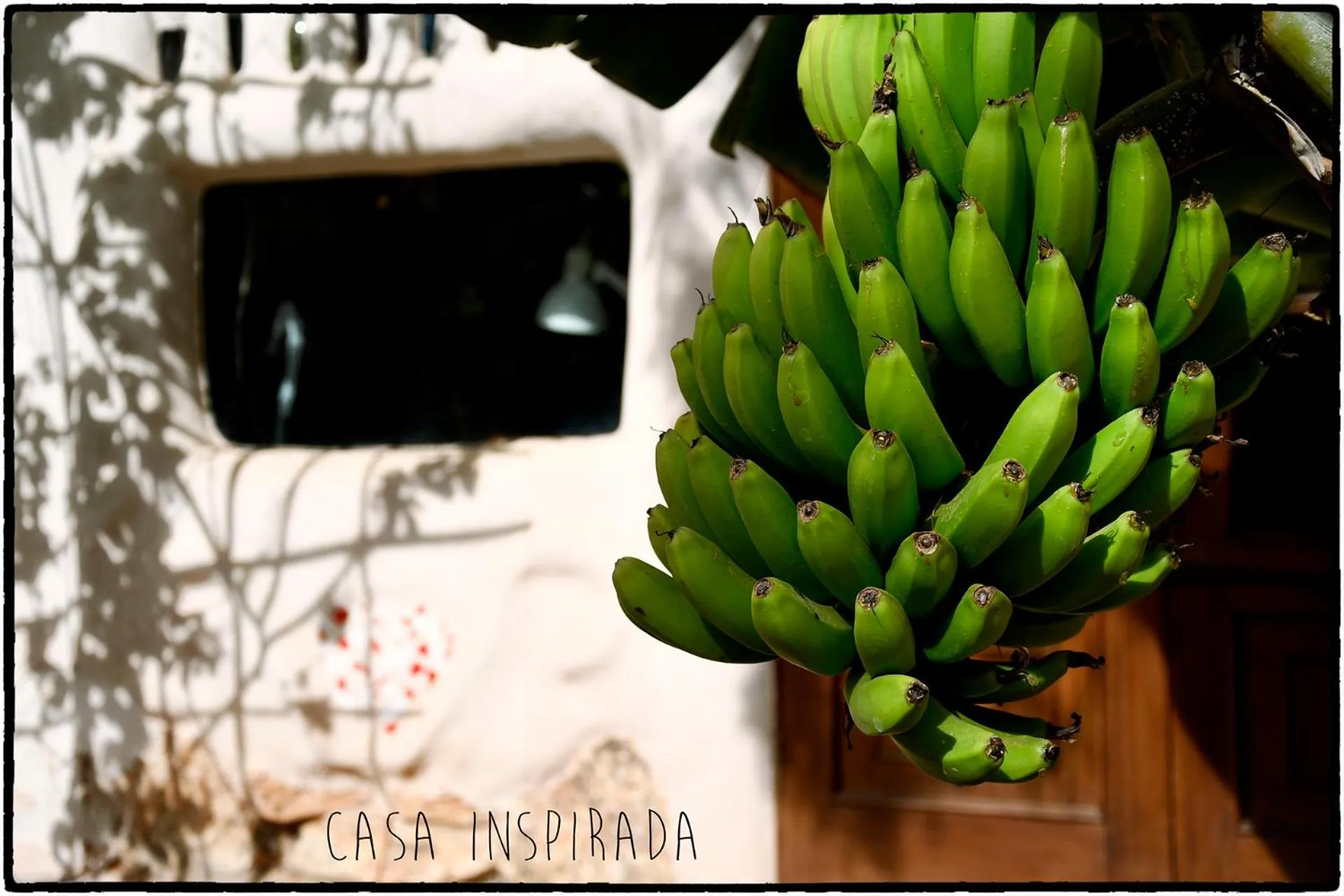 Decorative detail in Casa Inspirada