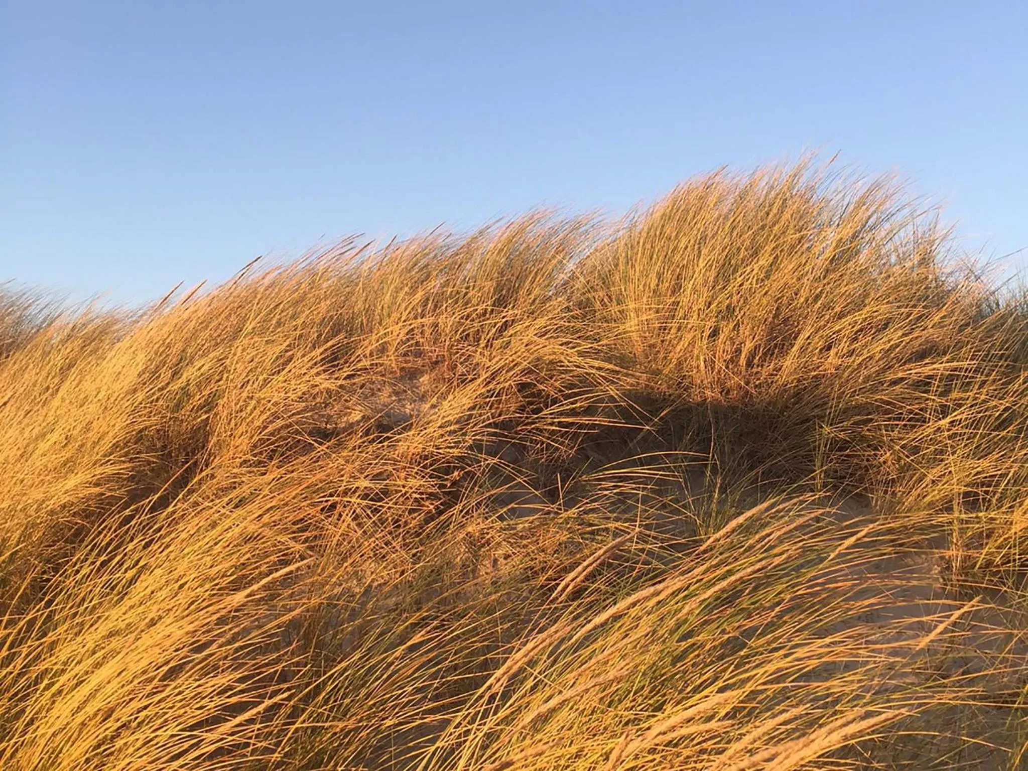 Other in Haus Seeblick