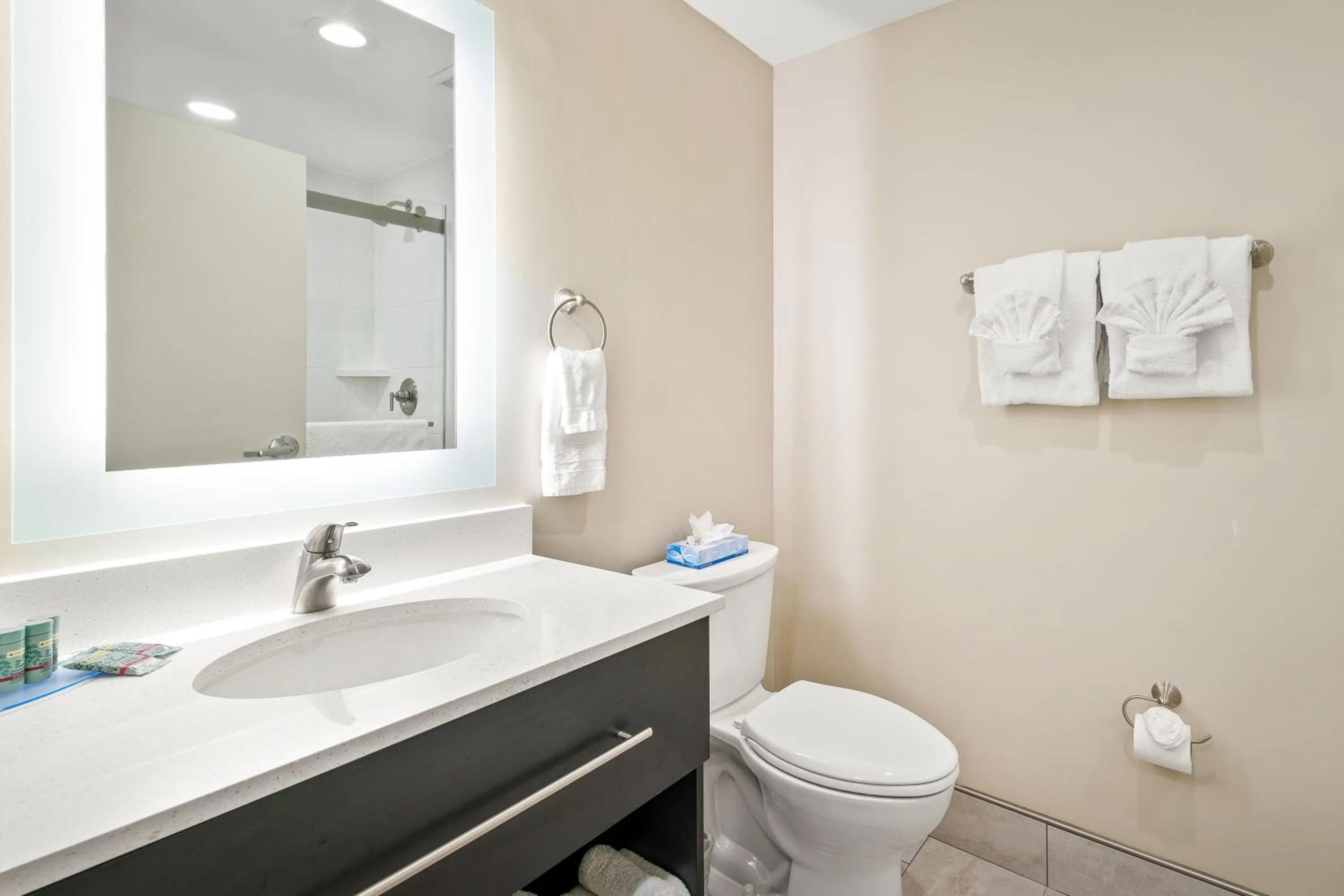 Bathroom in The English Inn of Charlottesville