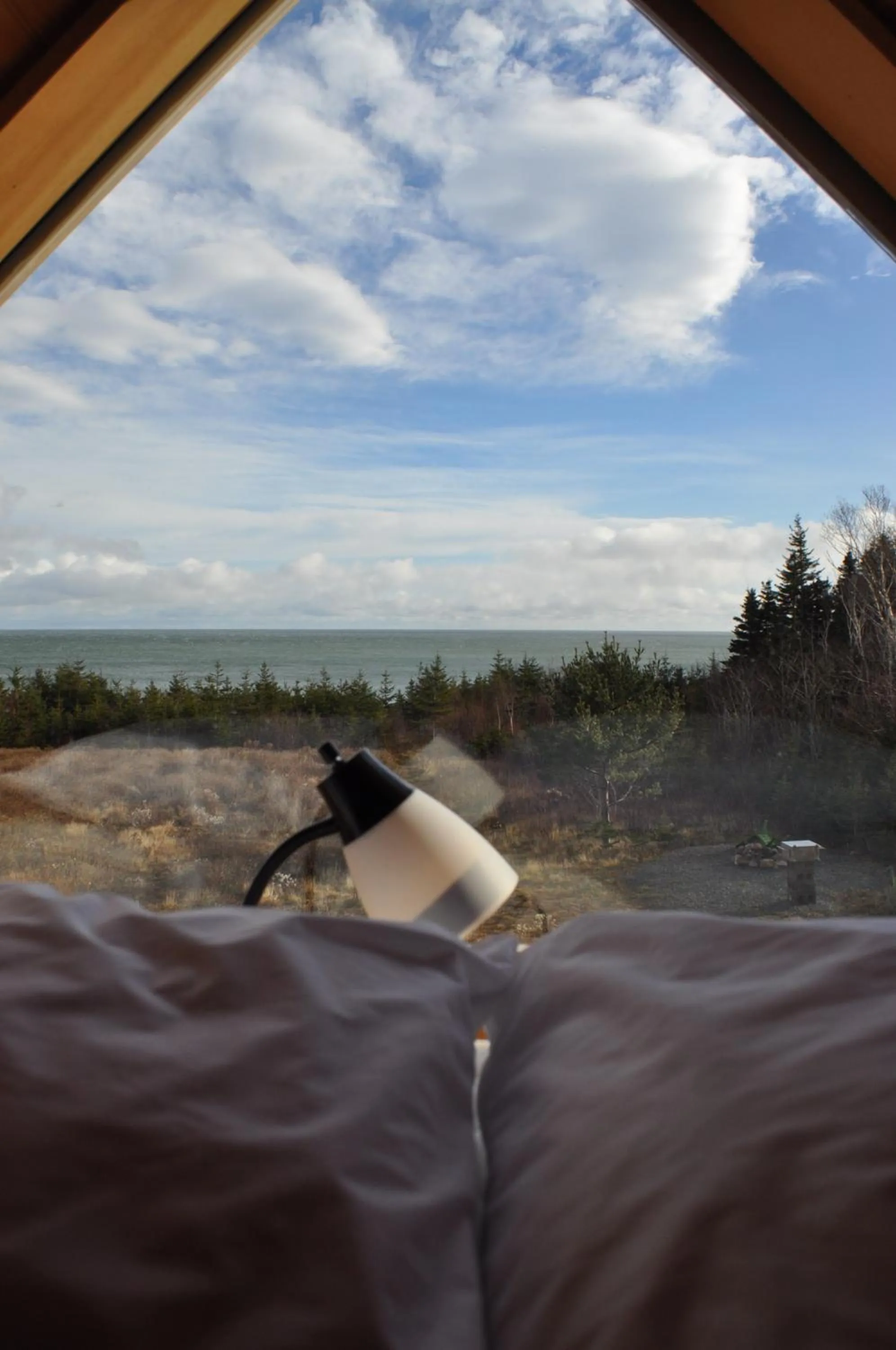 View (from property/room) in The ZzzzMoose 2 0 Camping Cabin