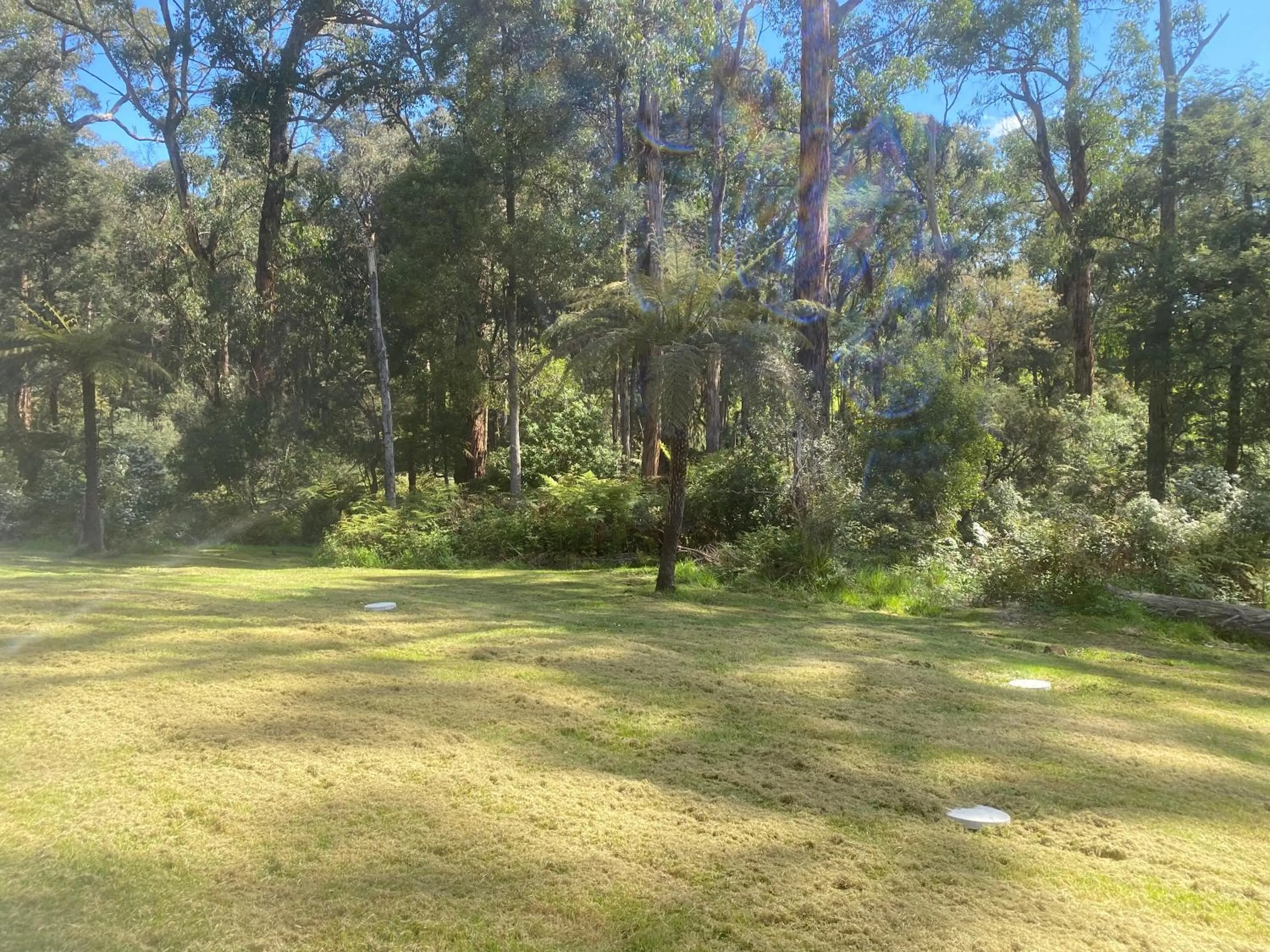 Emerald Creek Cottages