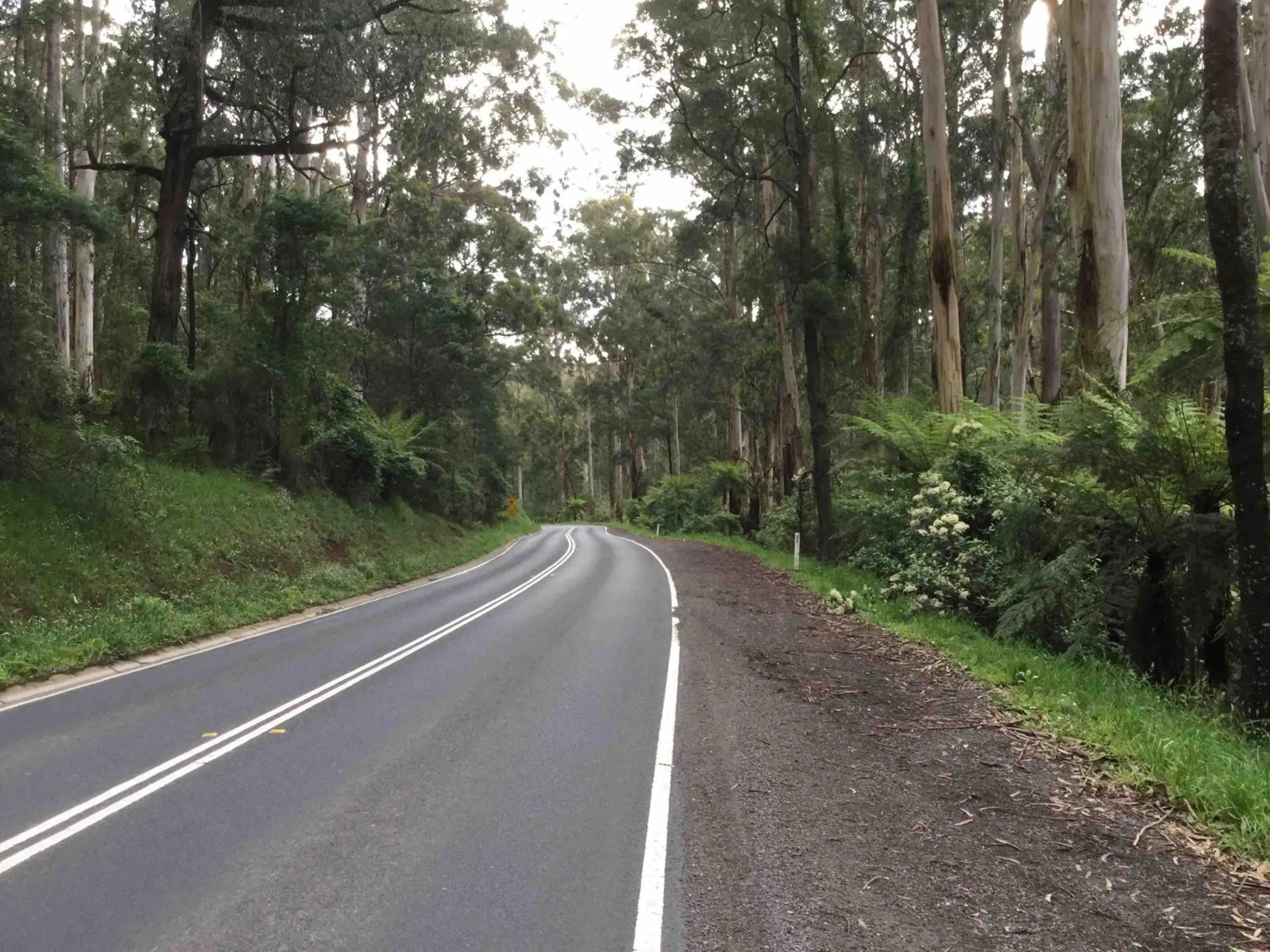 Off site in Emerald Creek Cottages