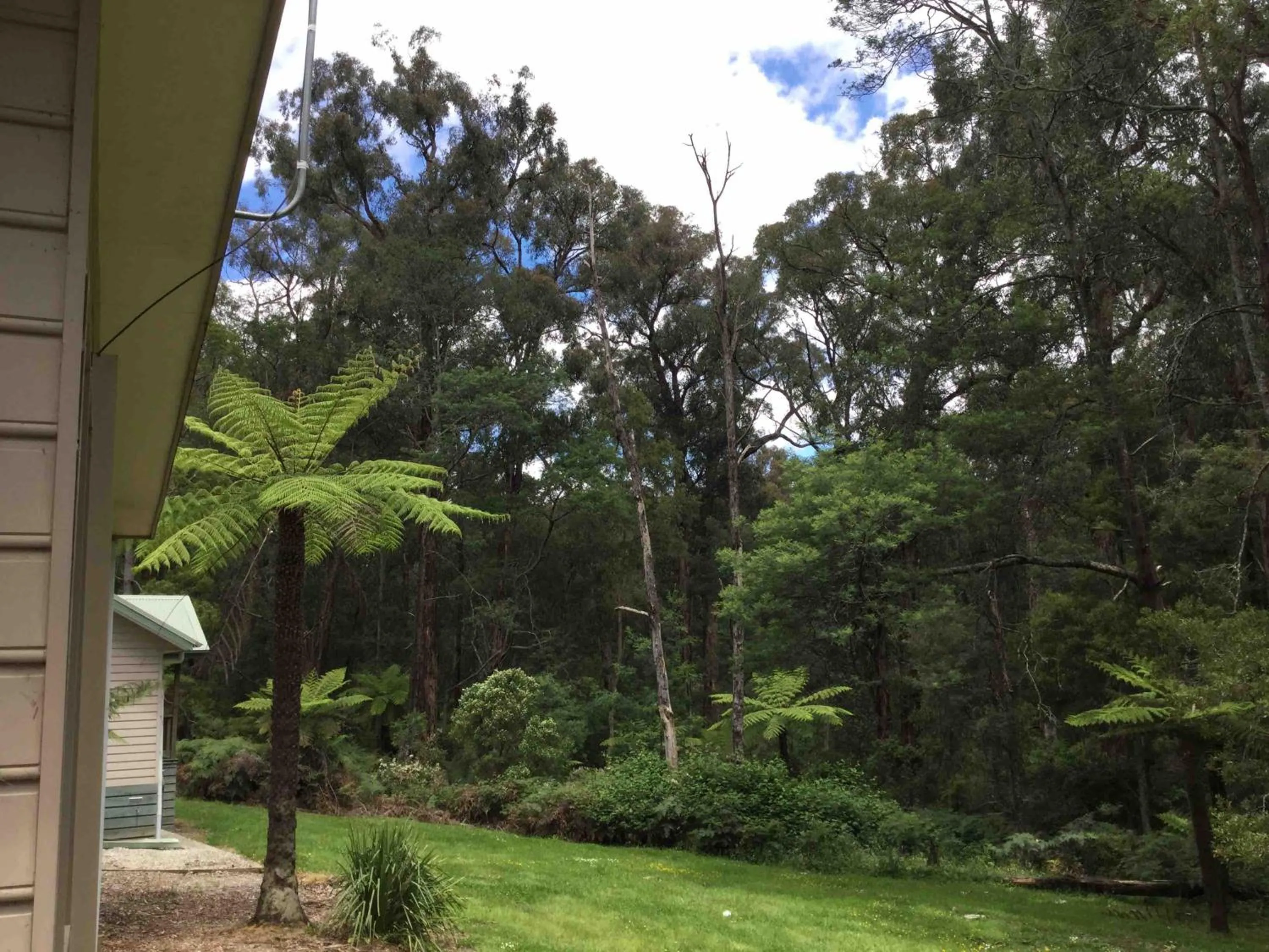 Garden in Emerald Creek Cottages