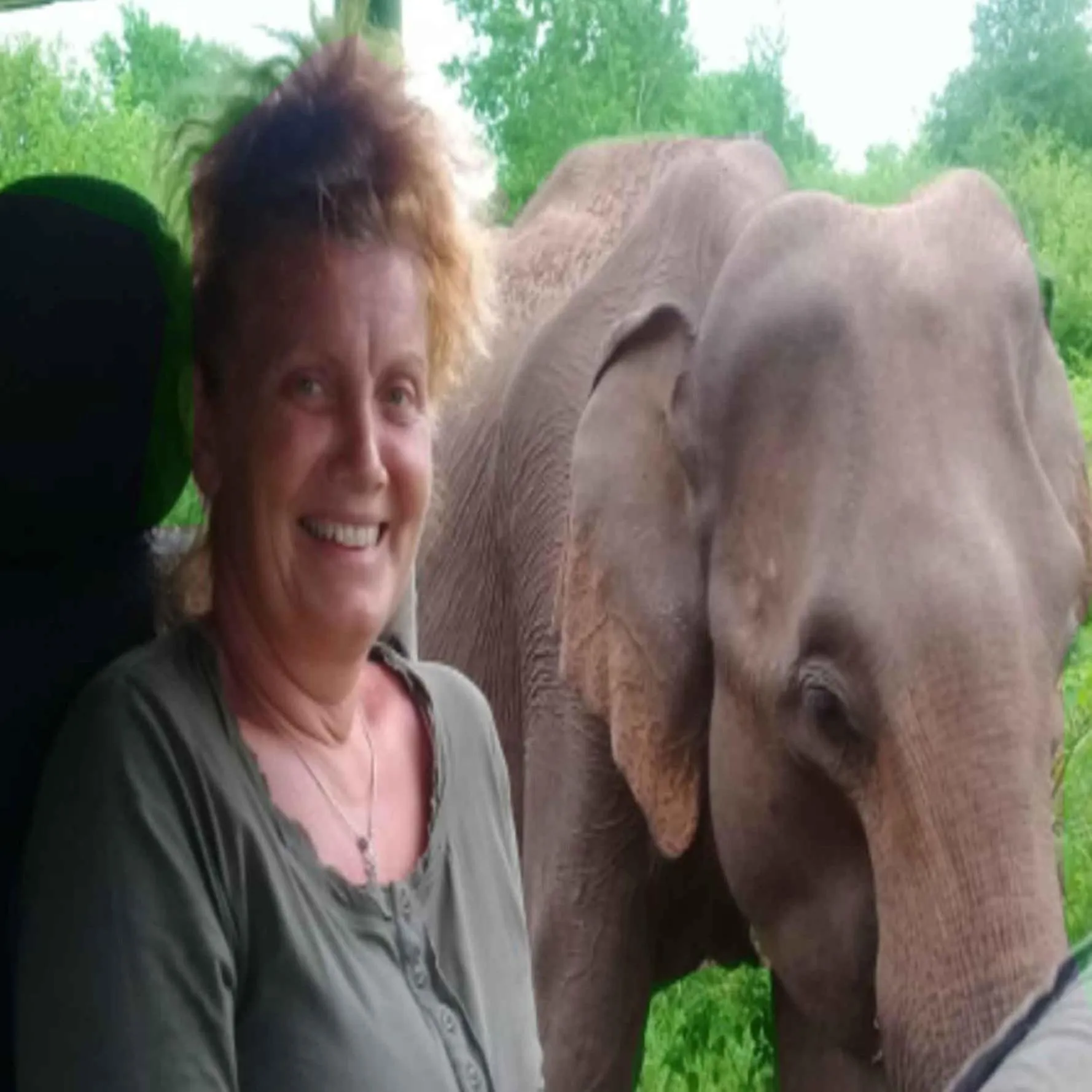 Activities in Nature lovers Safari Cottage