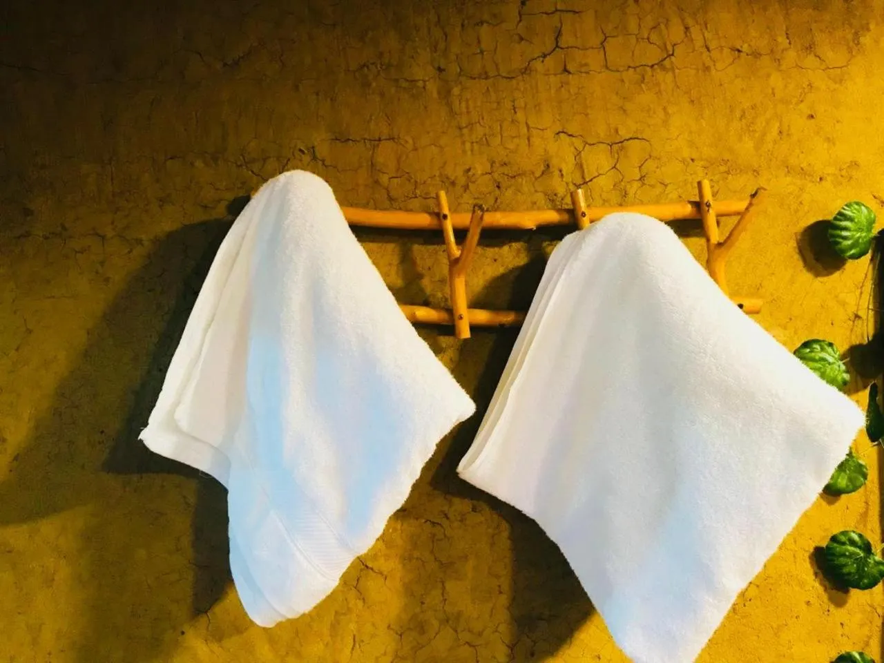 Nature lovers Safari Cottage