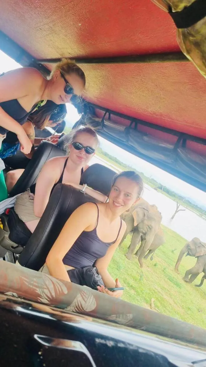 Nature lovers Safari Cottage