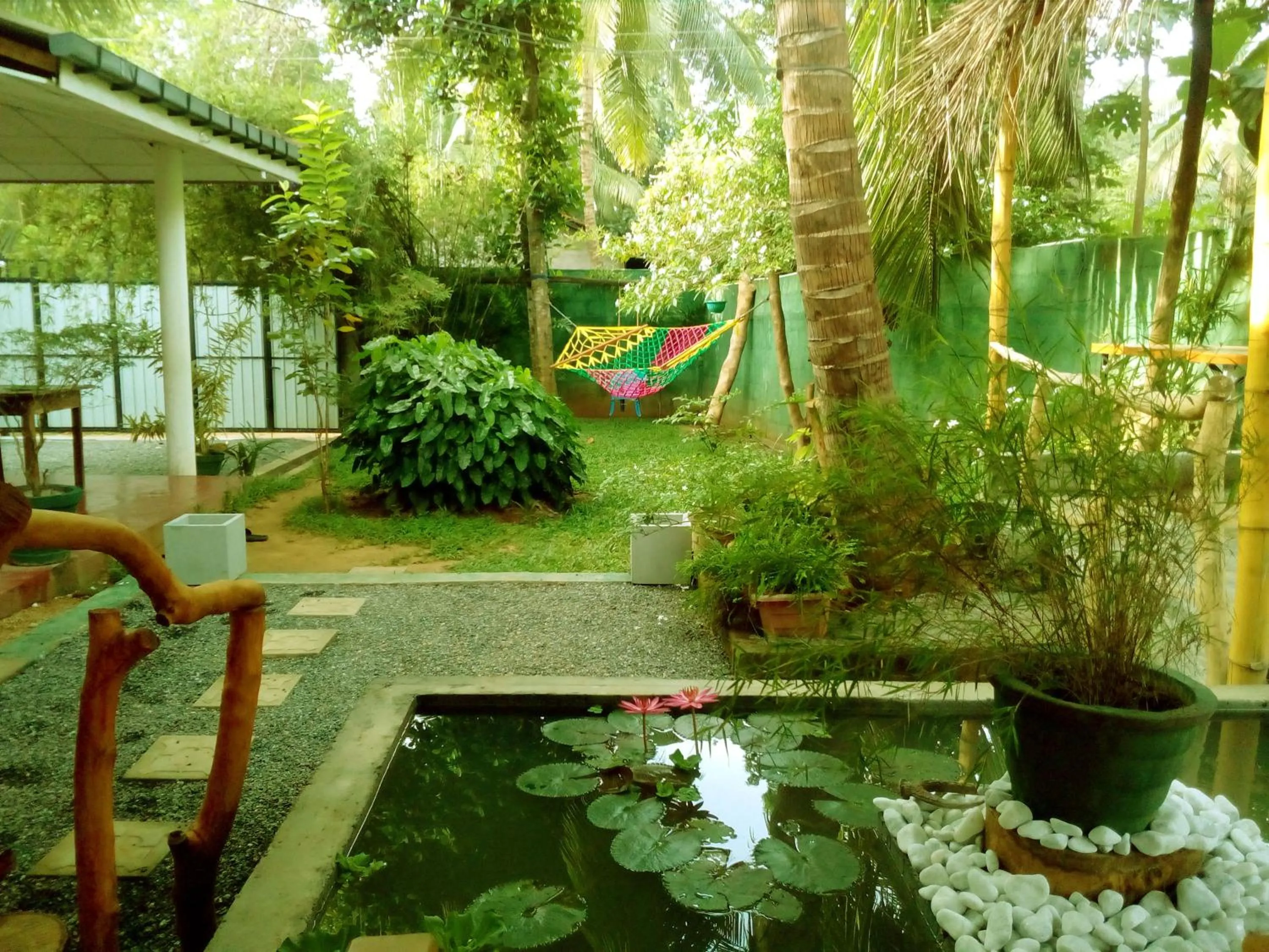Garden in Nature lovers Safari Cottage