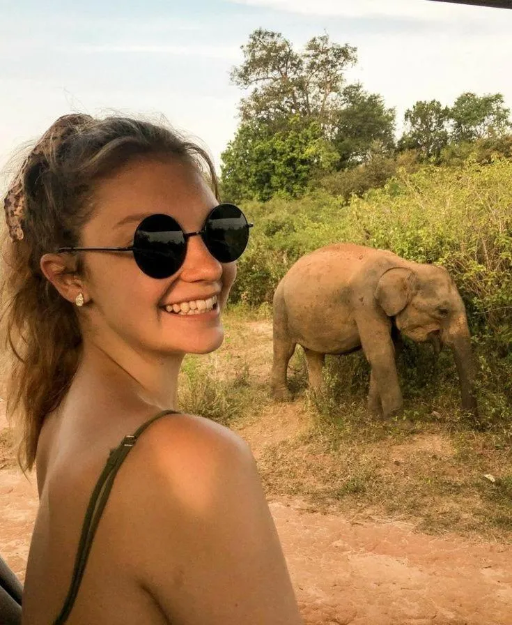 Nature lovers Safari Cottage