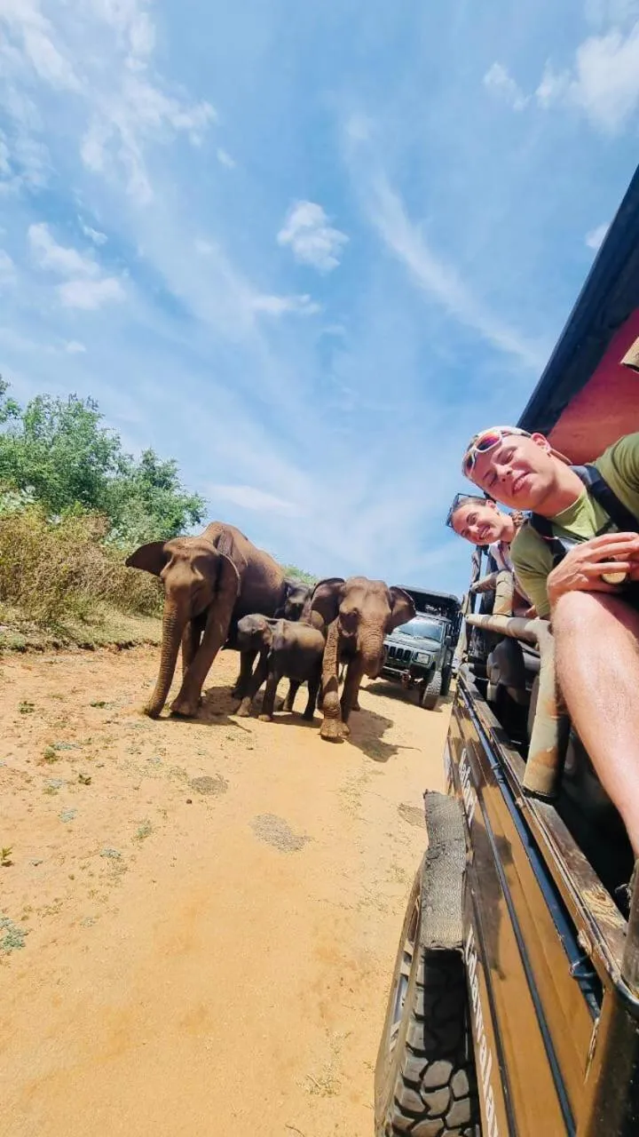 Nature lovers Safari Cottage