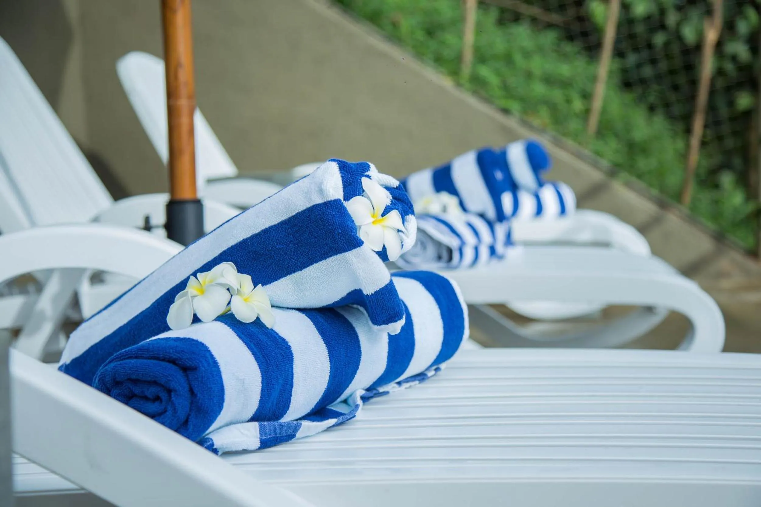 Swimming pool in Range Kandy