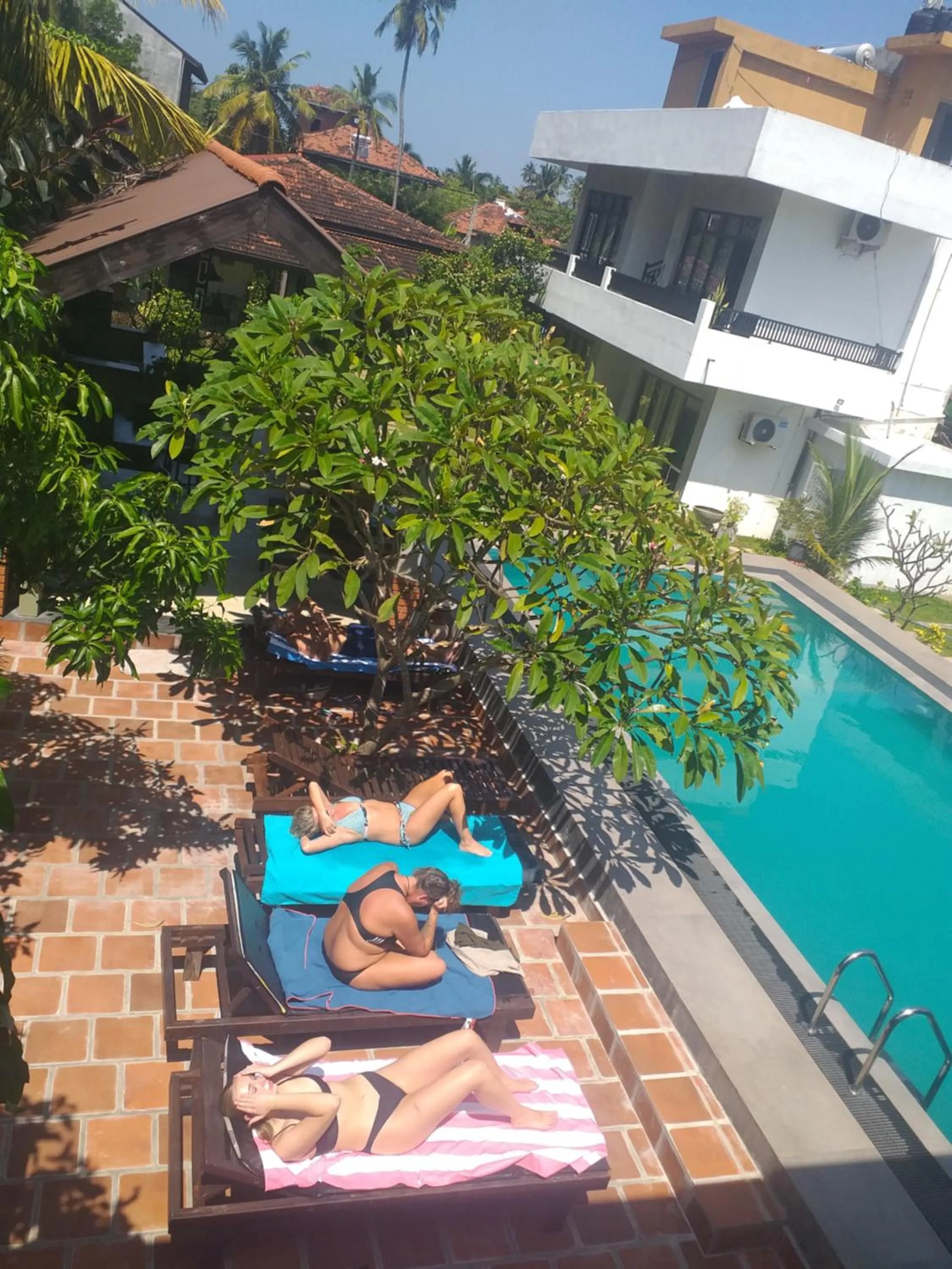 sunbed in Green Wood Villa Negombo