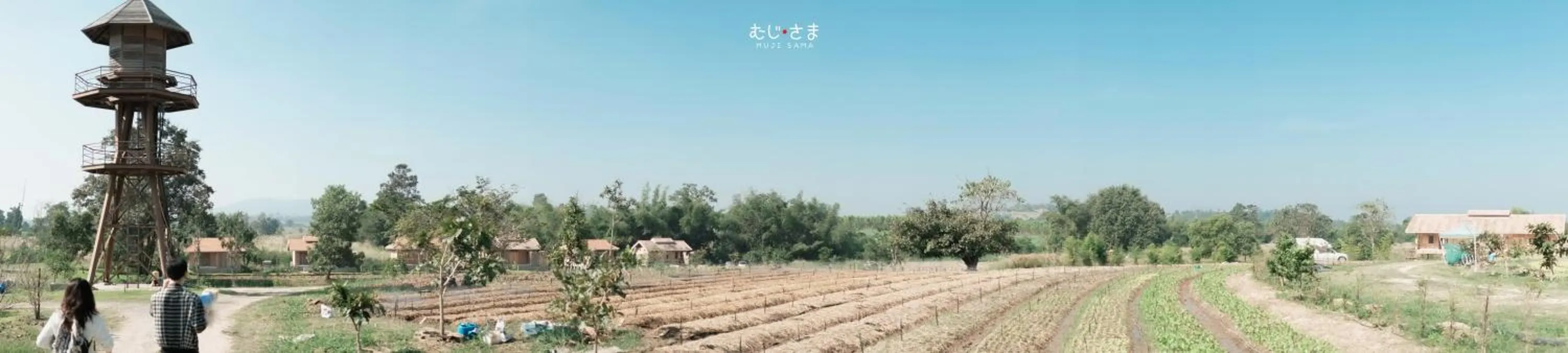 Off site in COOLLiving Farmhouse Organic