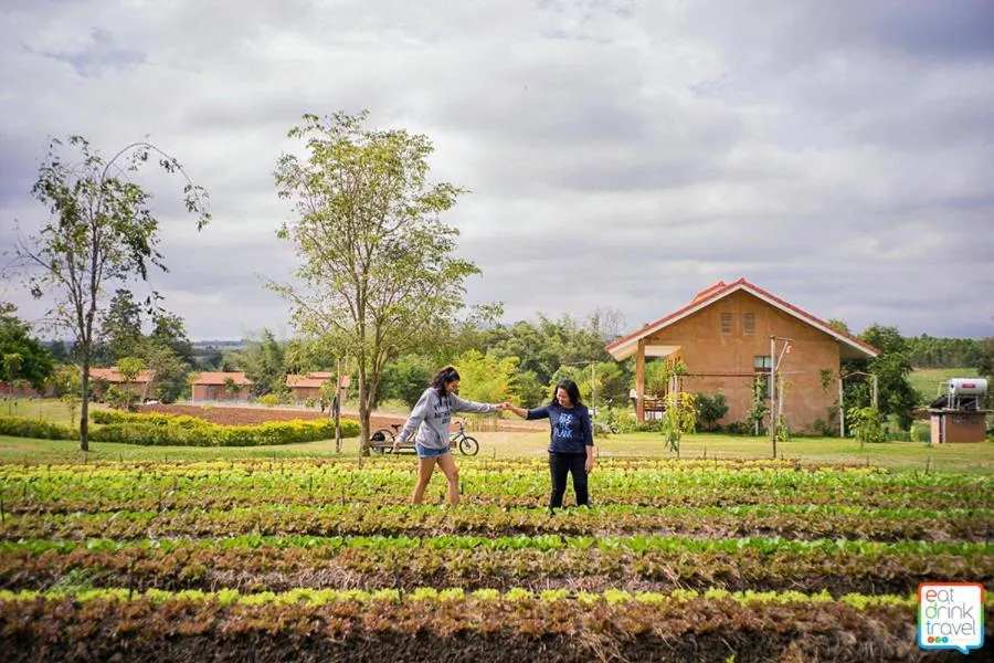 View (from property/room) in COOLLiving Farmhouse Organic
