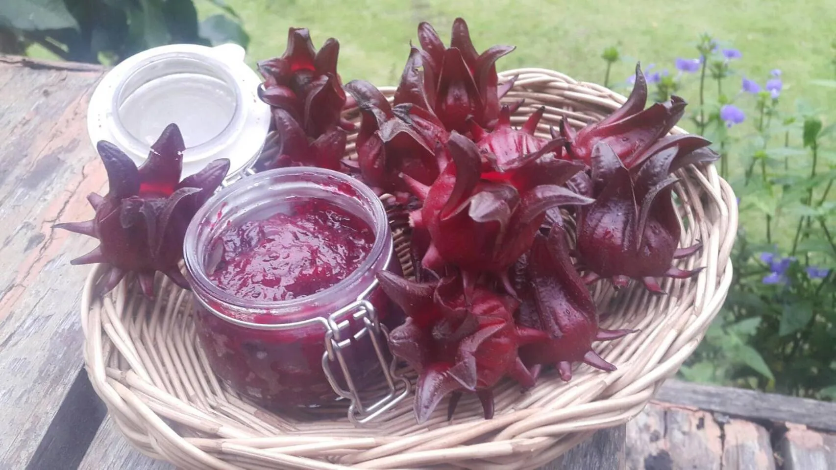 Buffet breakfast in COOLLiving Farmhouse Organic