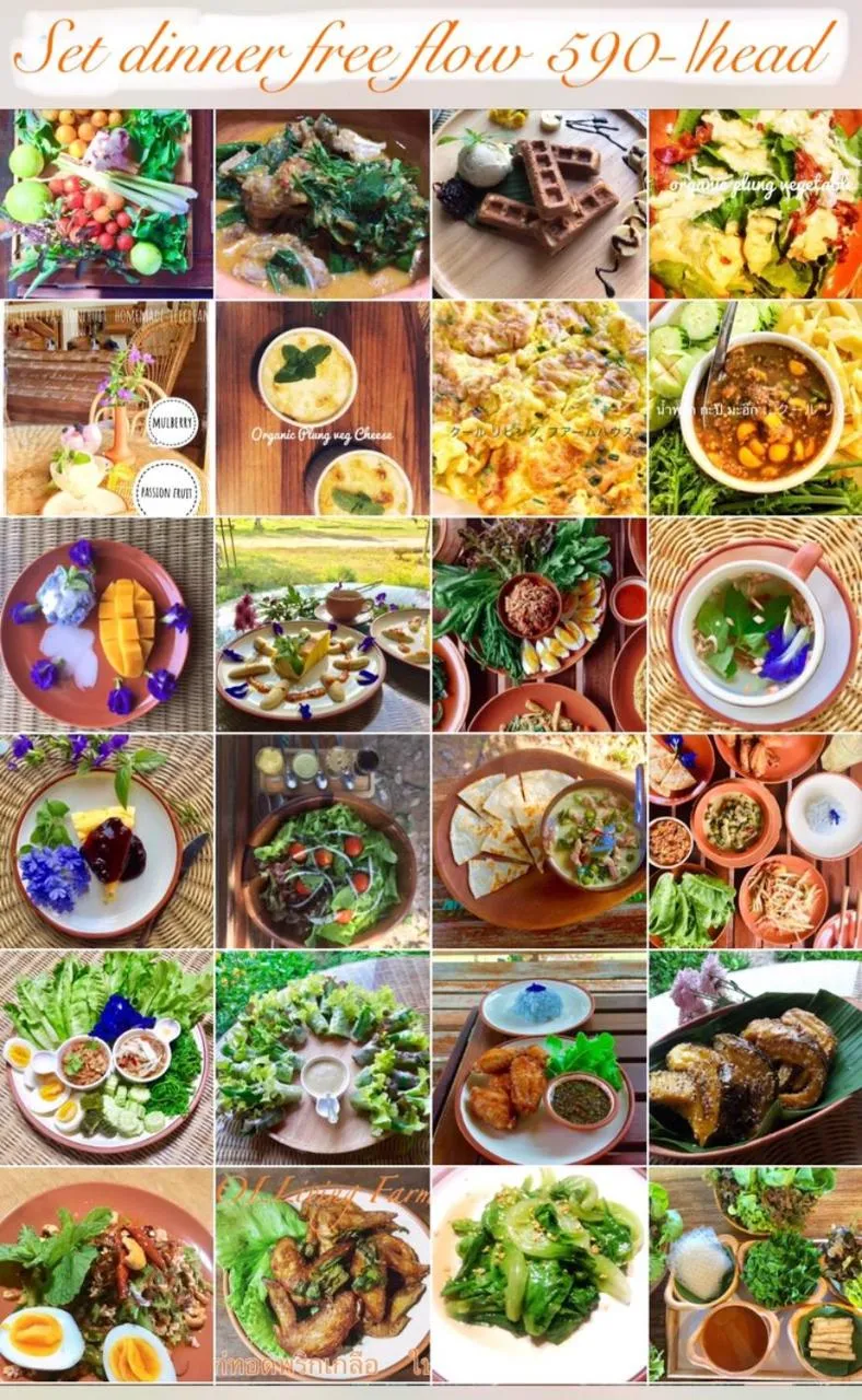 Dinner in COOLLiving Farmhouse Organic