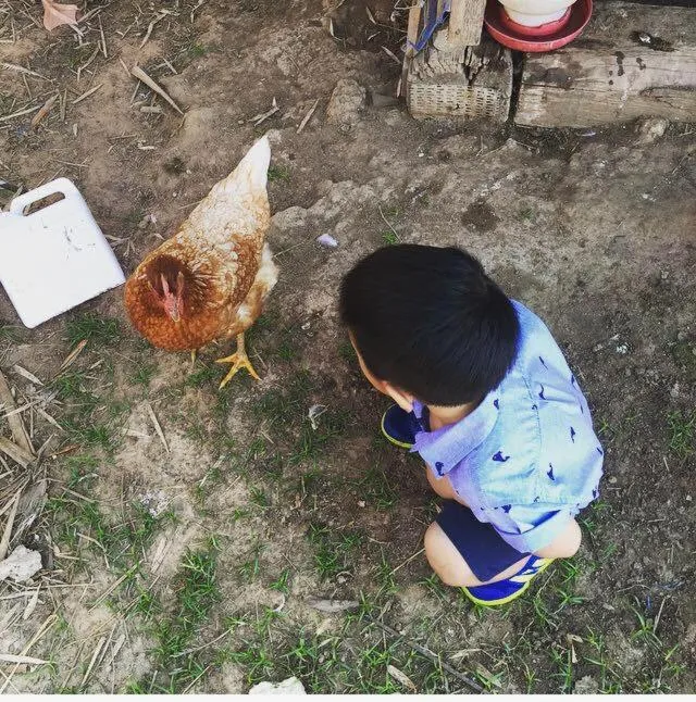 Animals in COOLLiving Farmhouse Organic