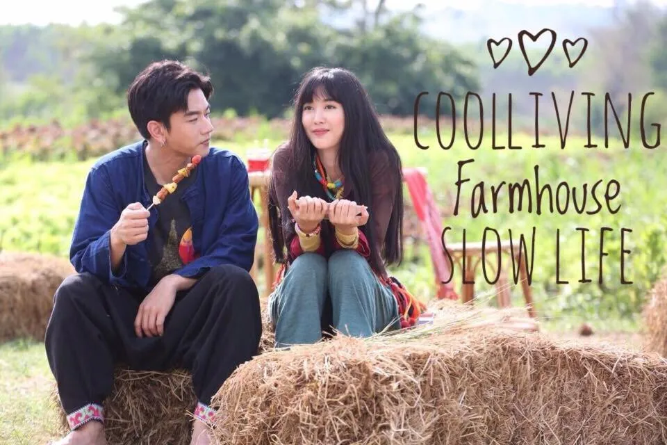 Certificate/Award in COOLLiving Farmhouse Organic