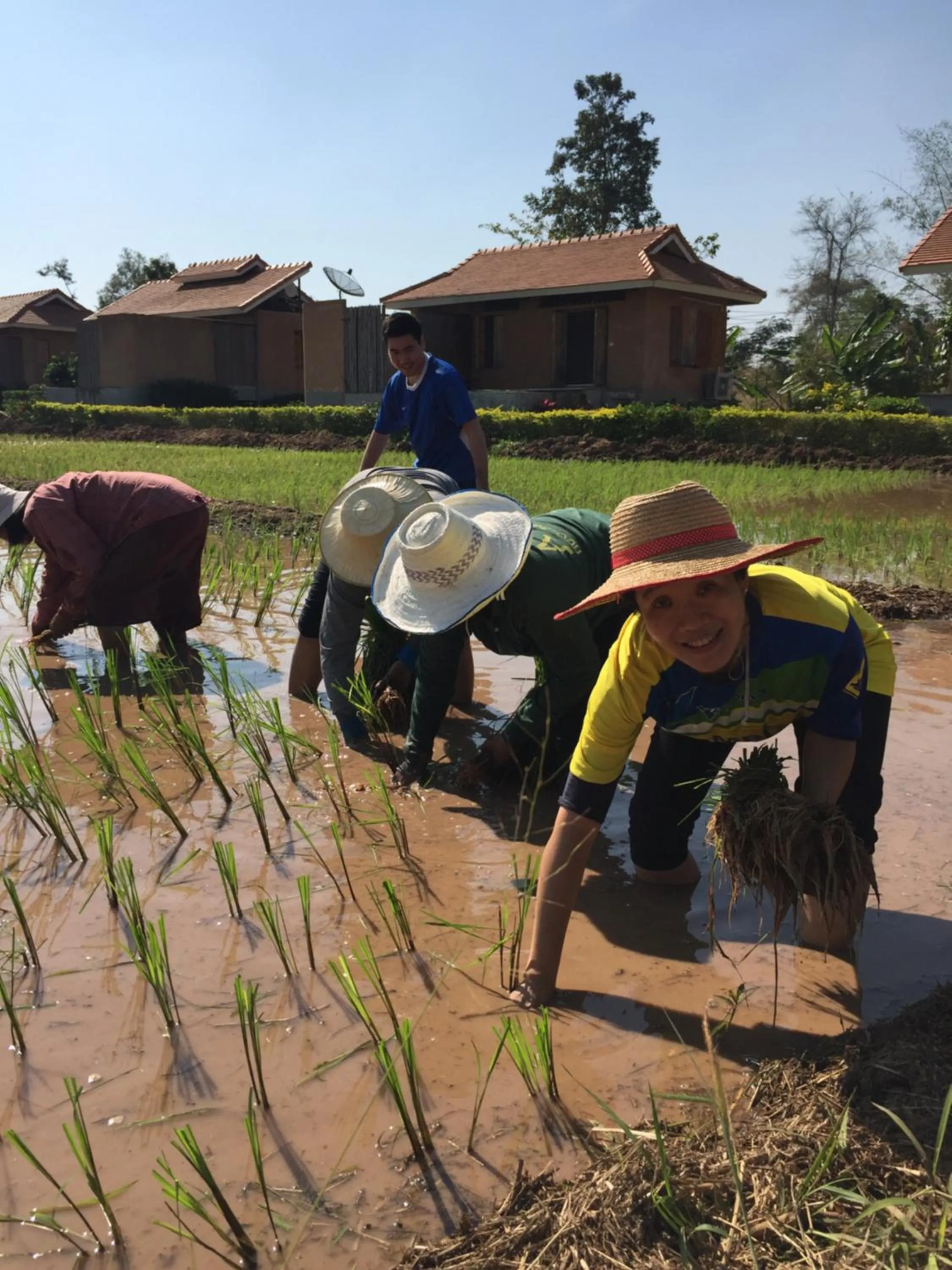 Staff in COOLLiving Farmhouse Organic