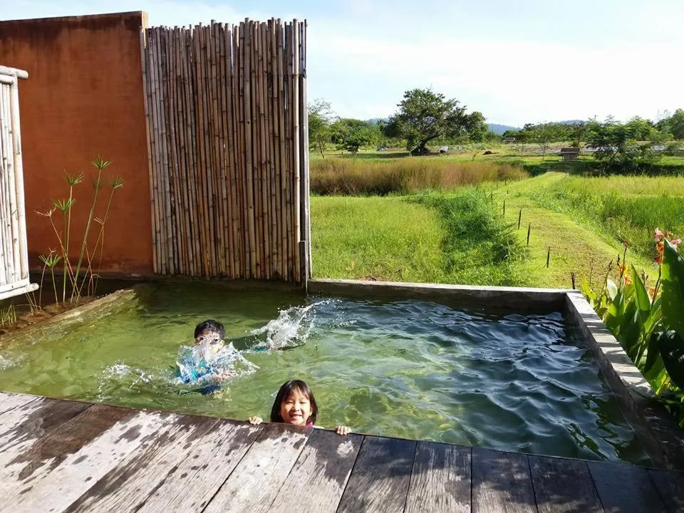 Patio in COOLLiving Farmhouse Organic