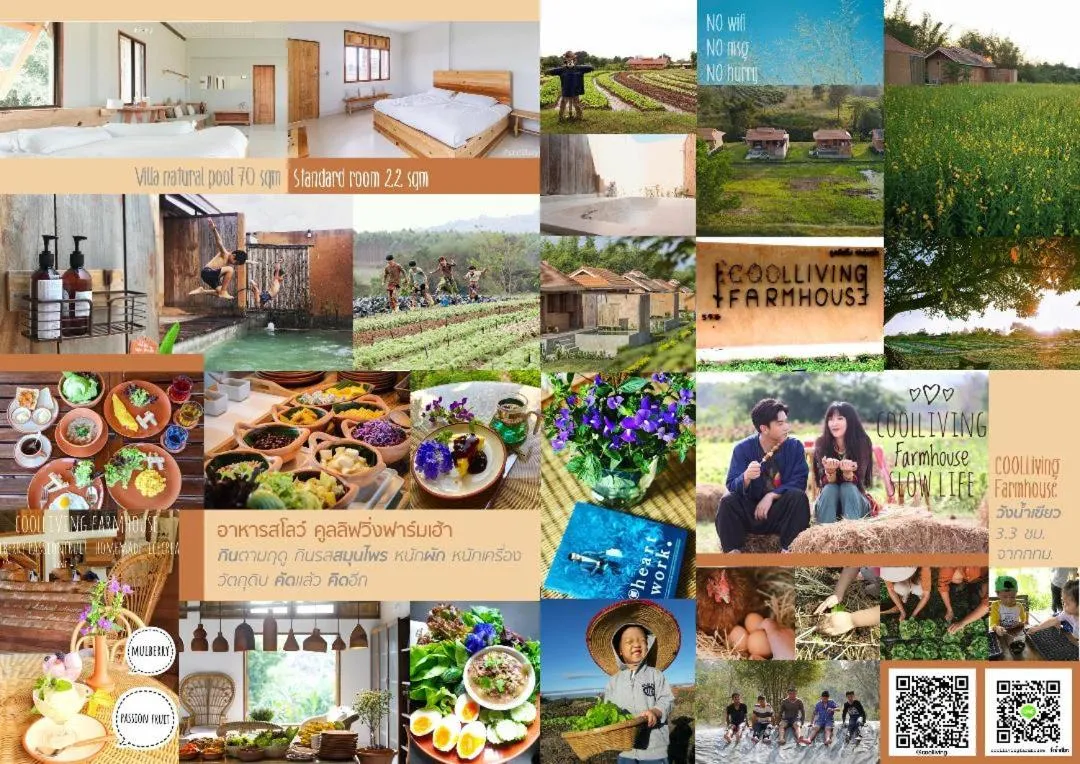 Other in COOLLiving Farmhouse Organic