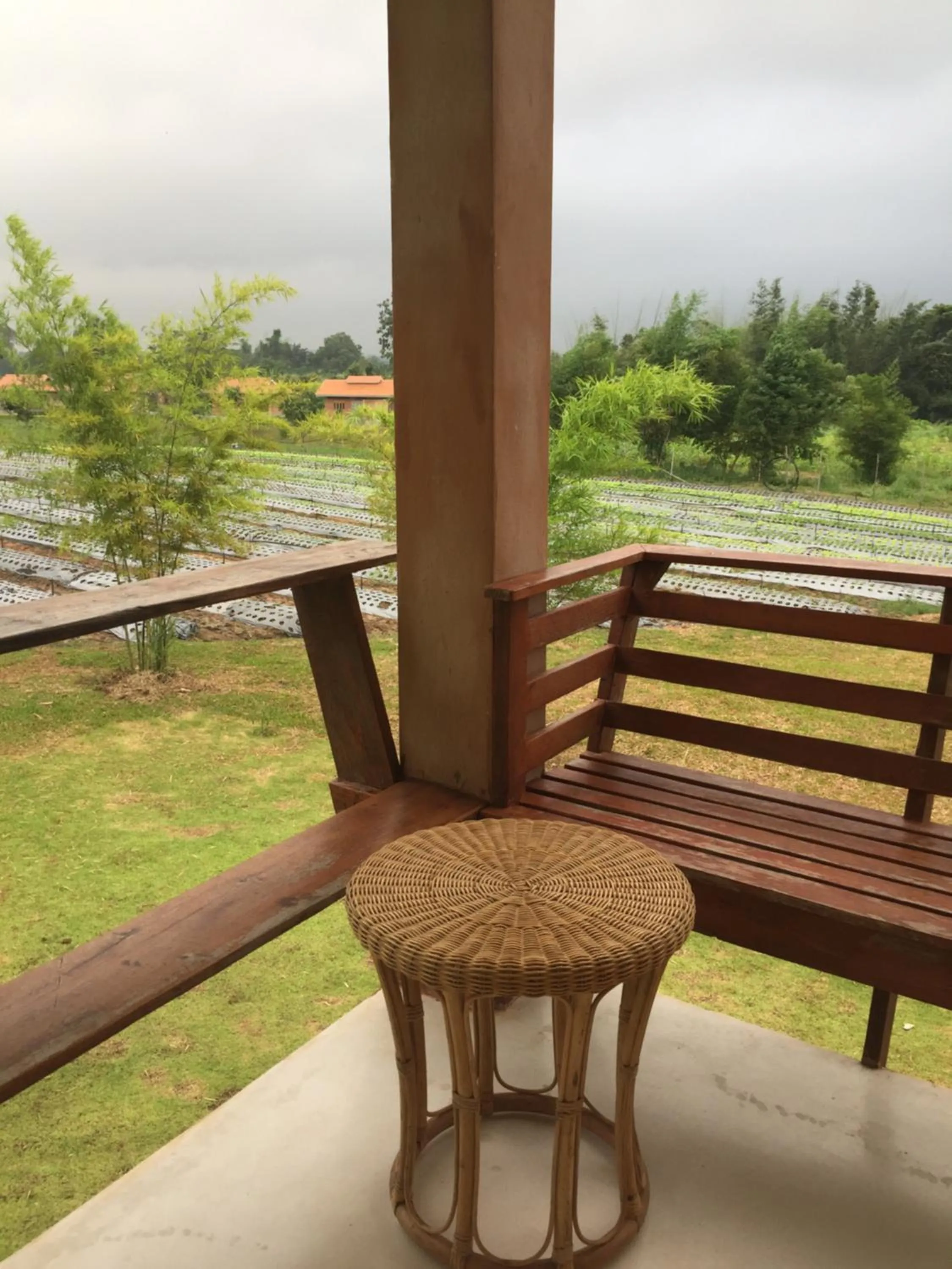 Patio in COOLLiving Farmhouse Organic