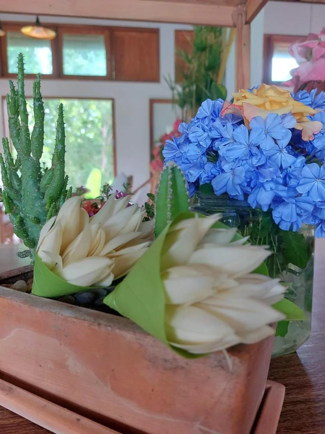 Breakfast in COOLLiving Farmhouse Organic