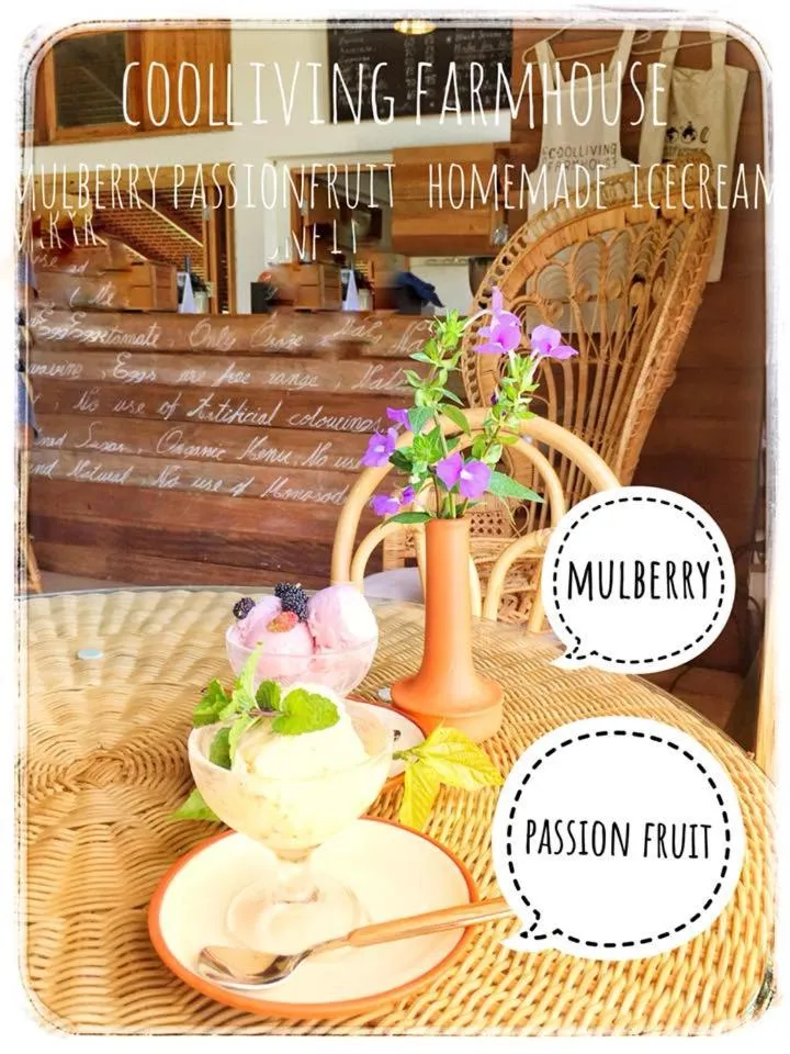 Meals in COOLLiving Farmhouse Organic