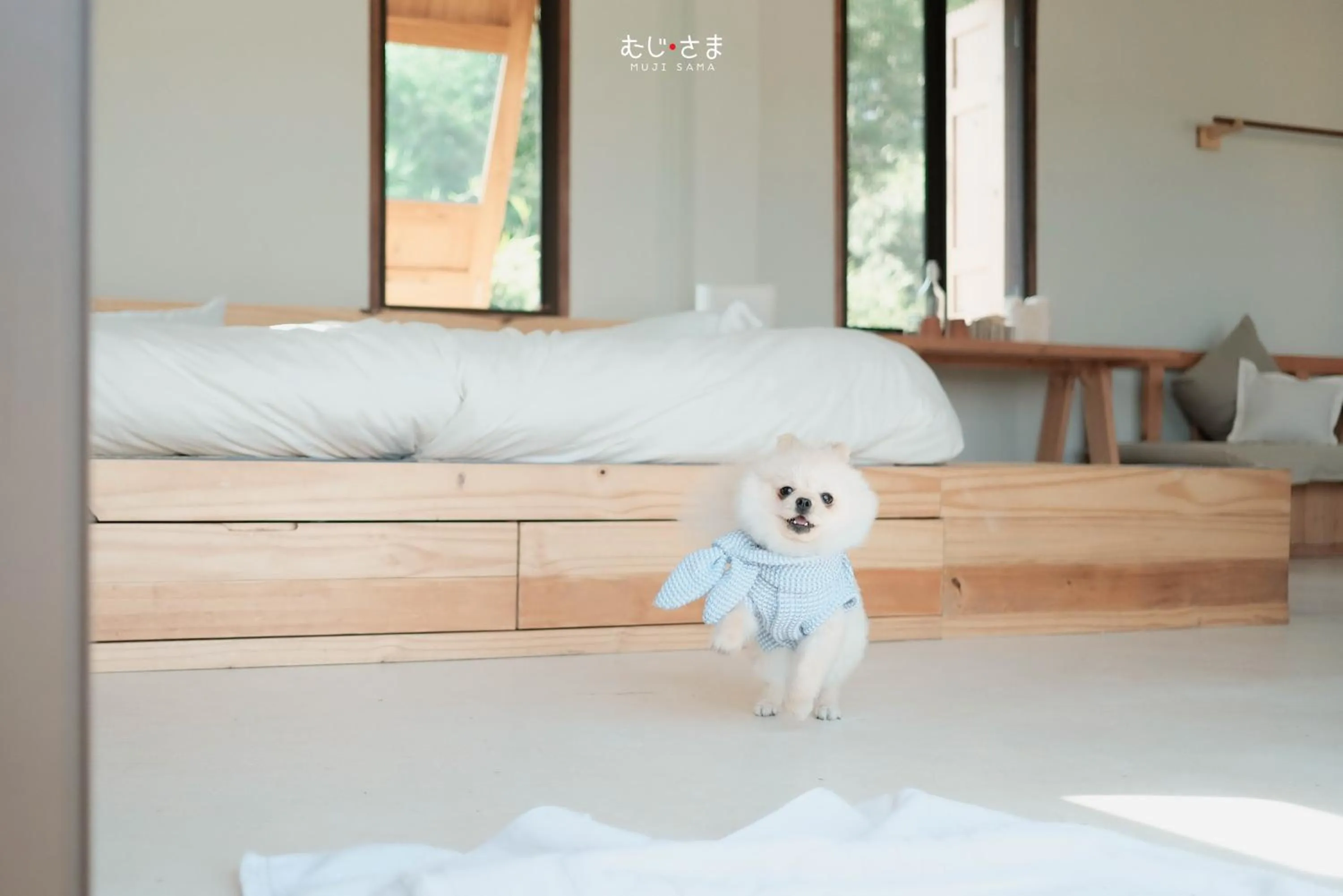 Pets, Bed in COOLLiving Farmhouse Organic