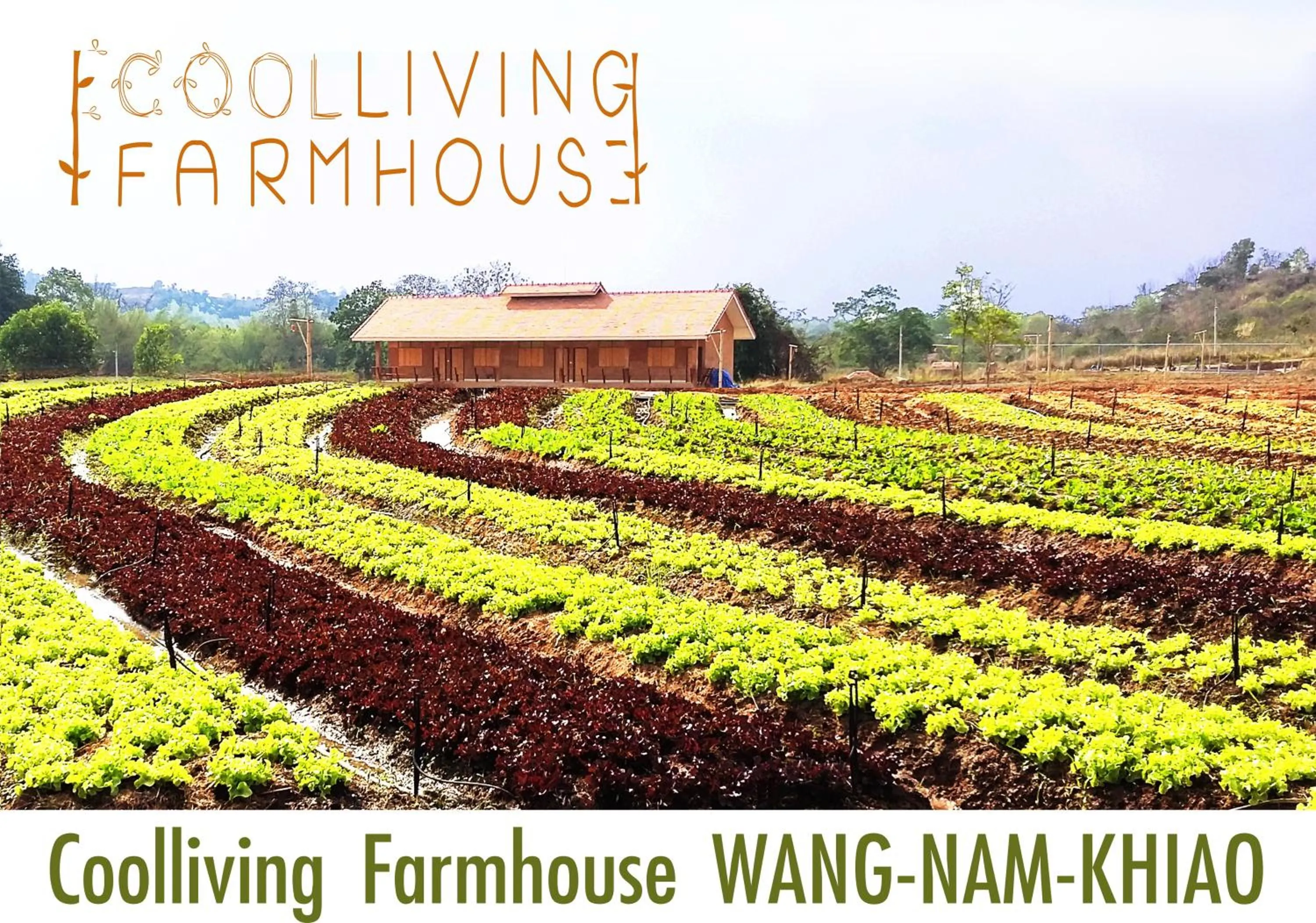 Activities in COOLLiving Farmhouse Organic