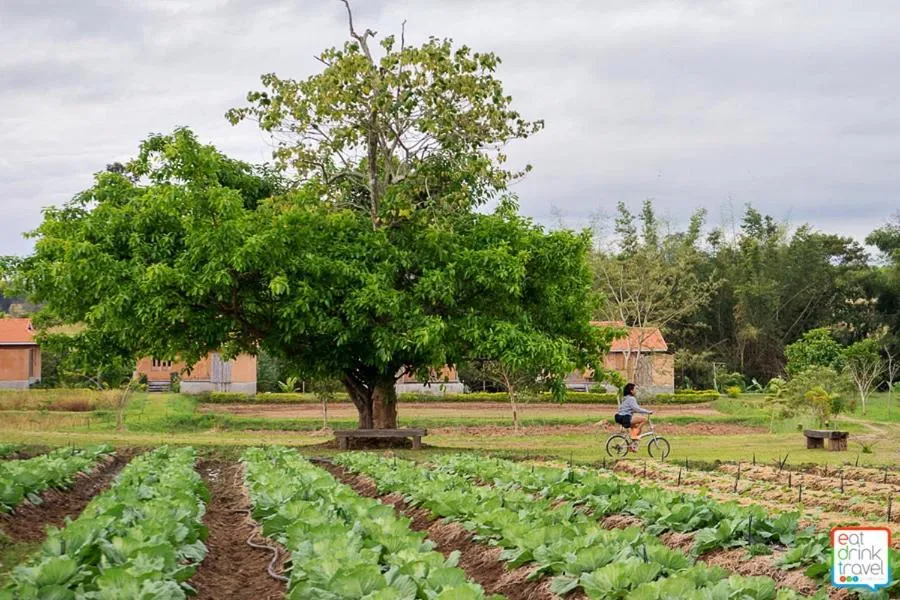 Garden in COOLLiving Farmhouse Organic