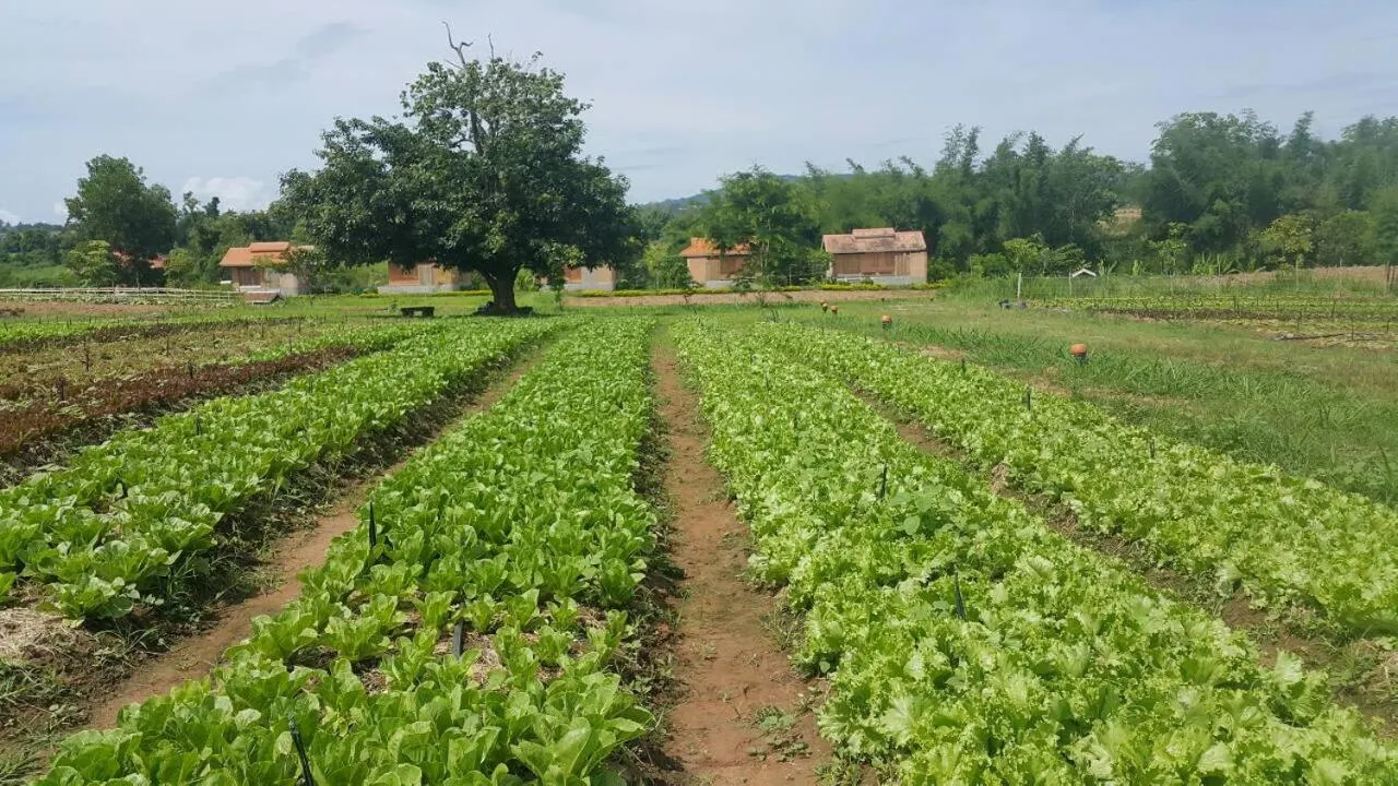 Beach in COOLLiving Farmhouse Organic