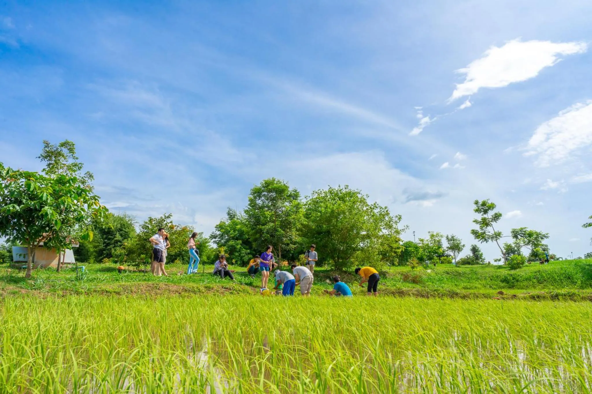 People in COOLLiving Farmhouse Organic