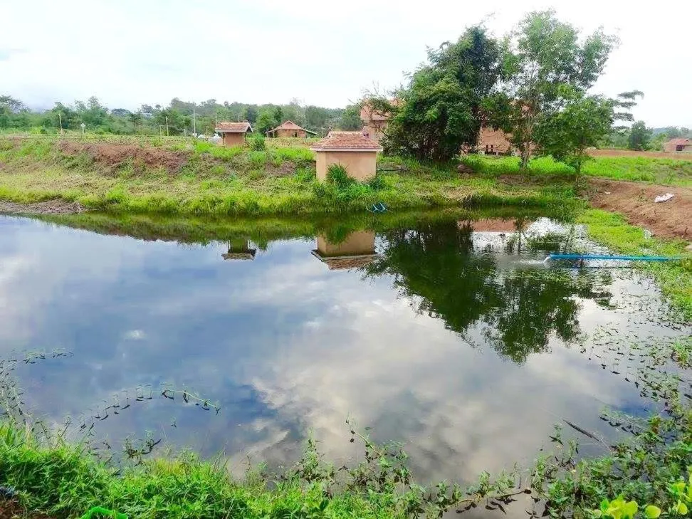 Beach in COOLLiving Farmhouse Organic