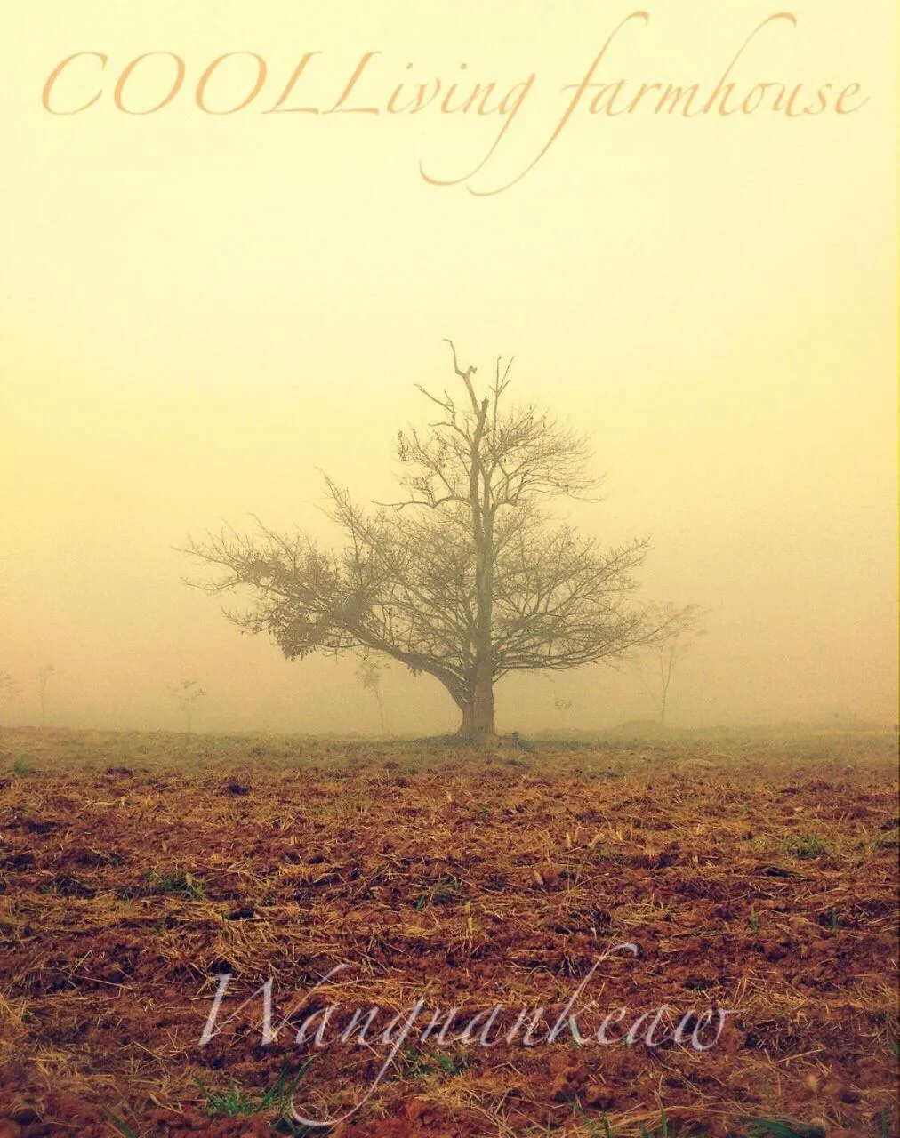 Winter in COOLLiving Farmhouse Organic