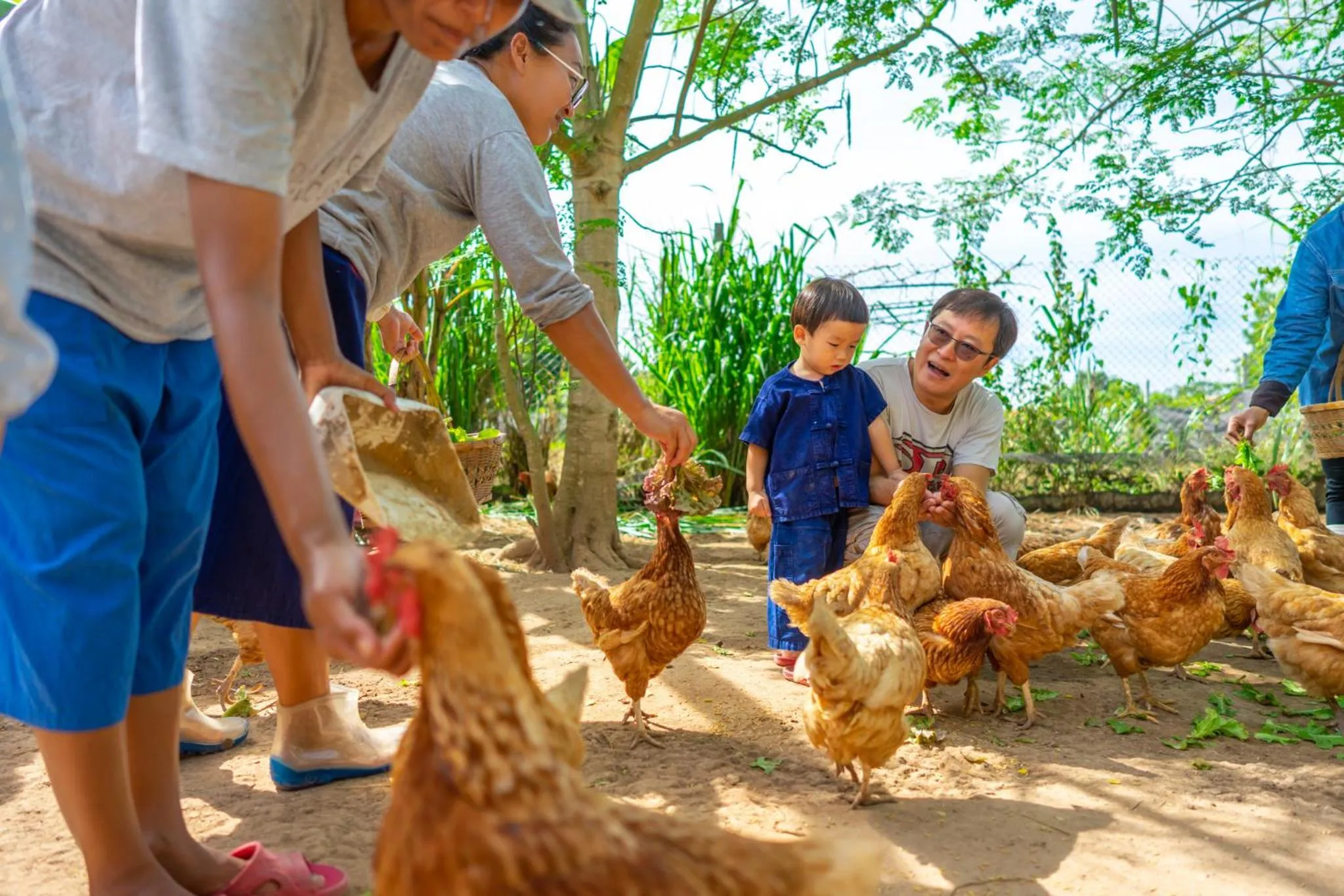 Activities in COOLLiving Farmhouse Organic