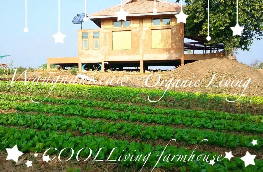 Restaurant/places to eat in COOLLiving Farmhouse Organic