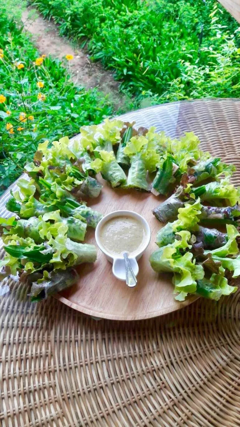 Food close-up in COOLLiving Farmhouse Organic