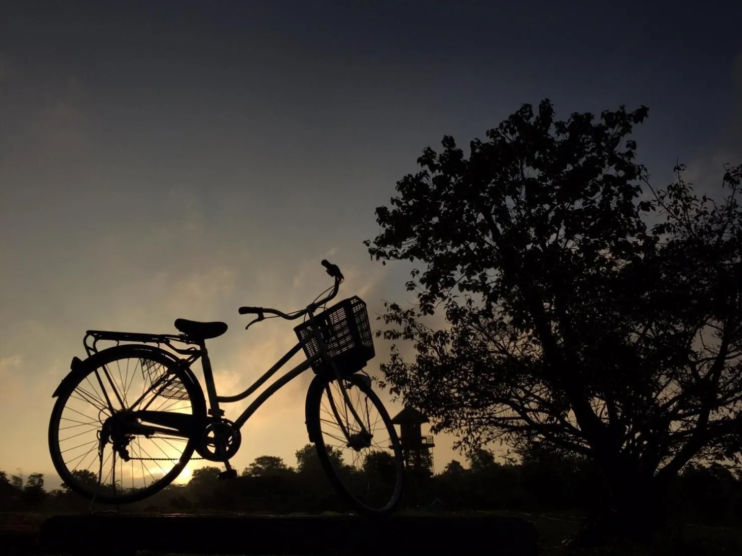 Garden in COOLLiving Farmhouse Organic