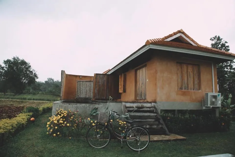 Garden in COOLLiving Farmhouse Organic