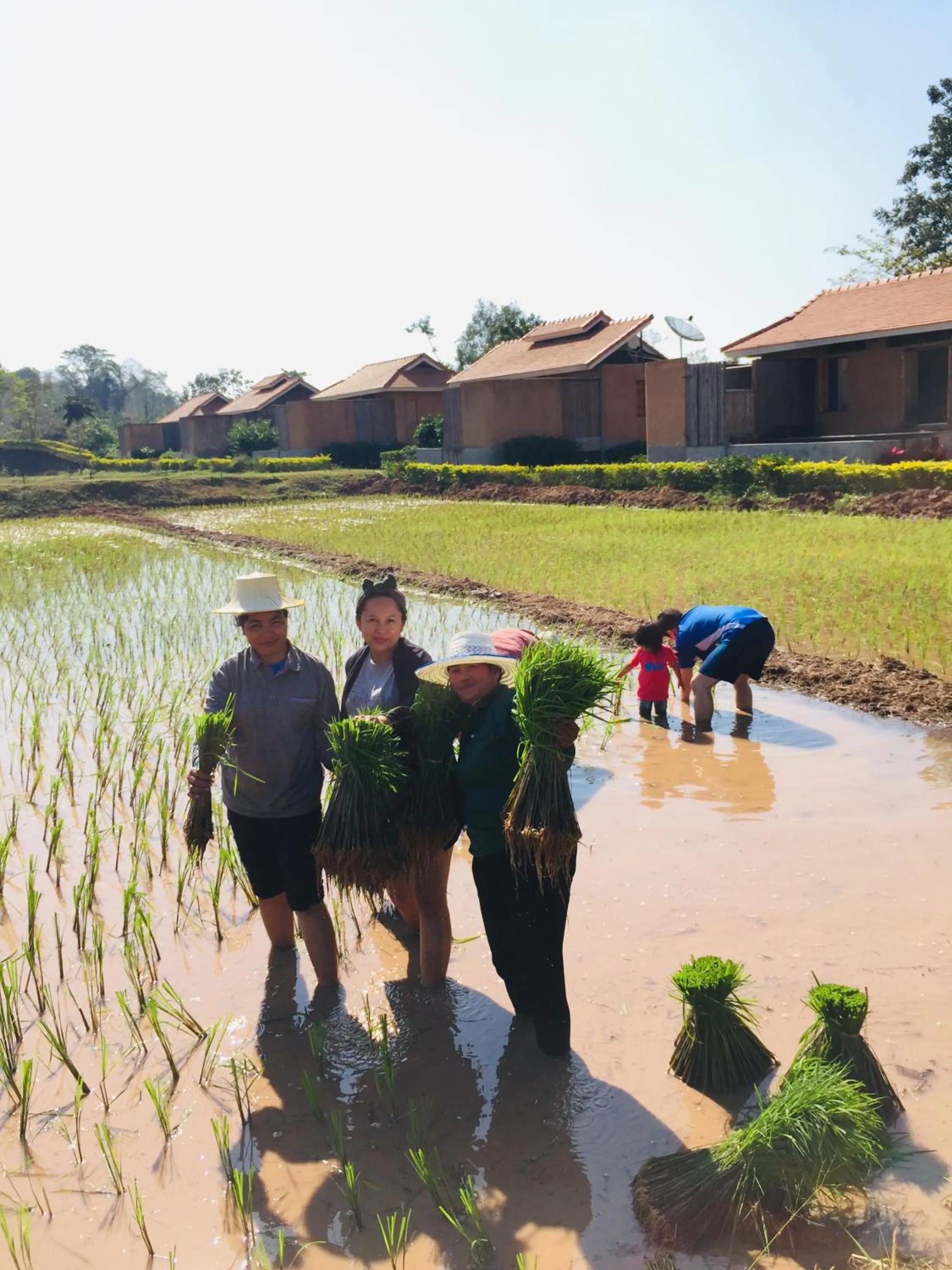 People in COOLLiving Farmhouse Organic