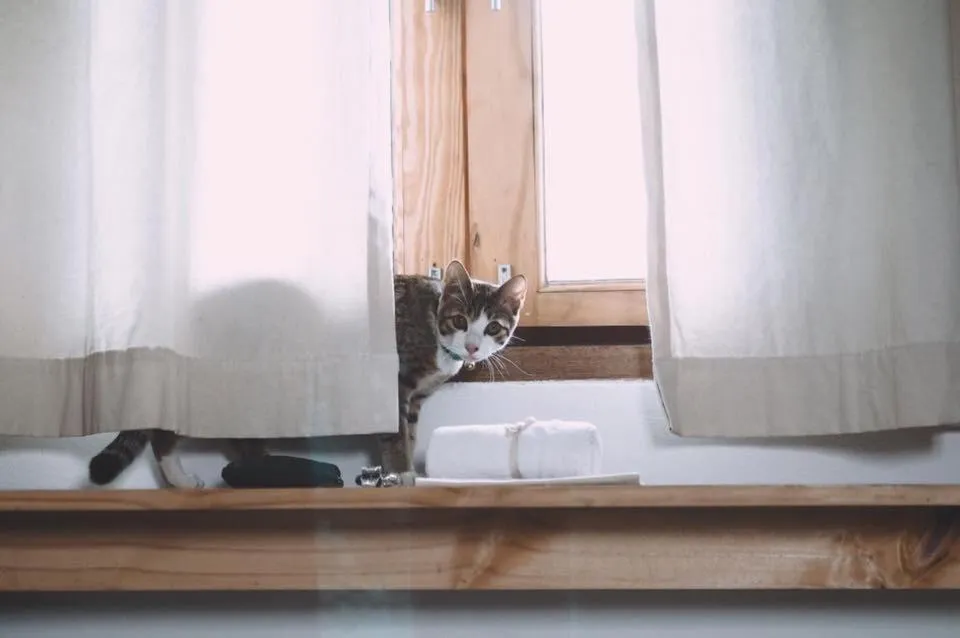 Pets, Bed in COOLLiving Farmhouse Organic