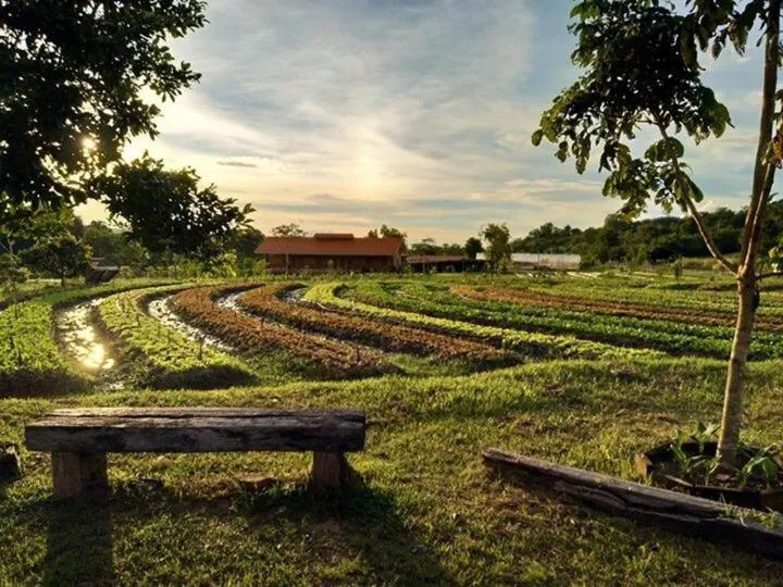 Natural landscape in COOLLiving Farmhouse Organic