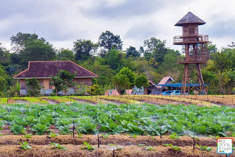 Activities in COOLLiving Farmhouse Organic