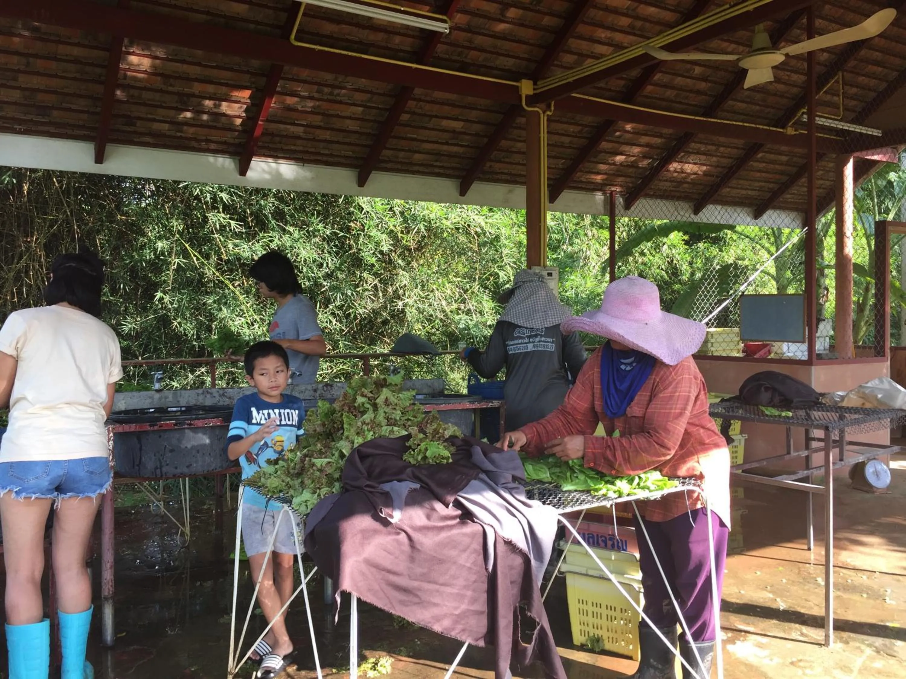 Staff in COOLLiving Farmhouse Organic