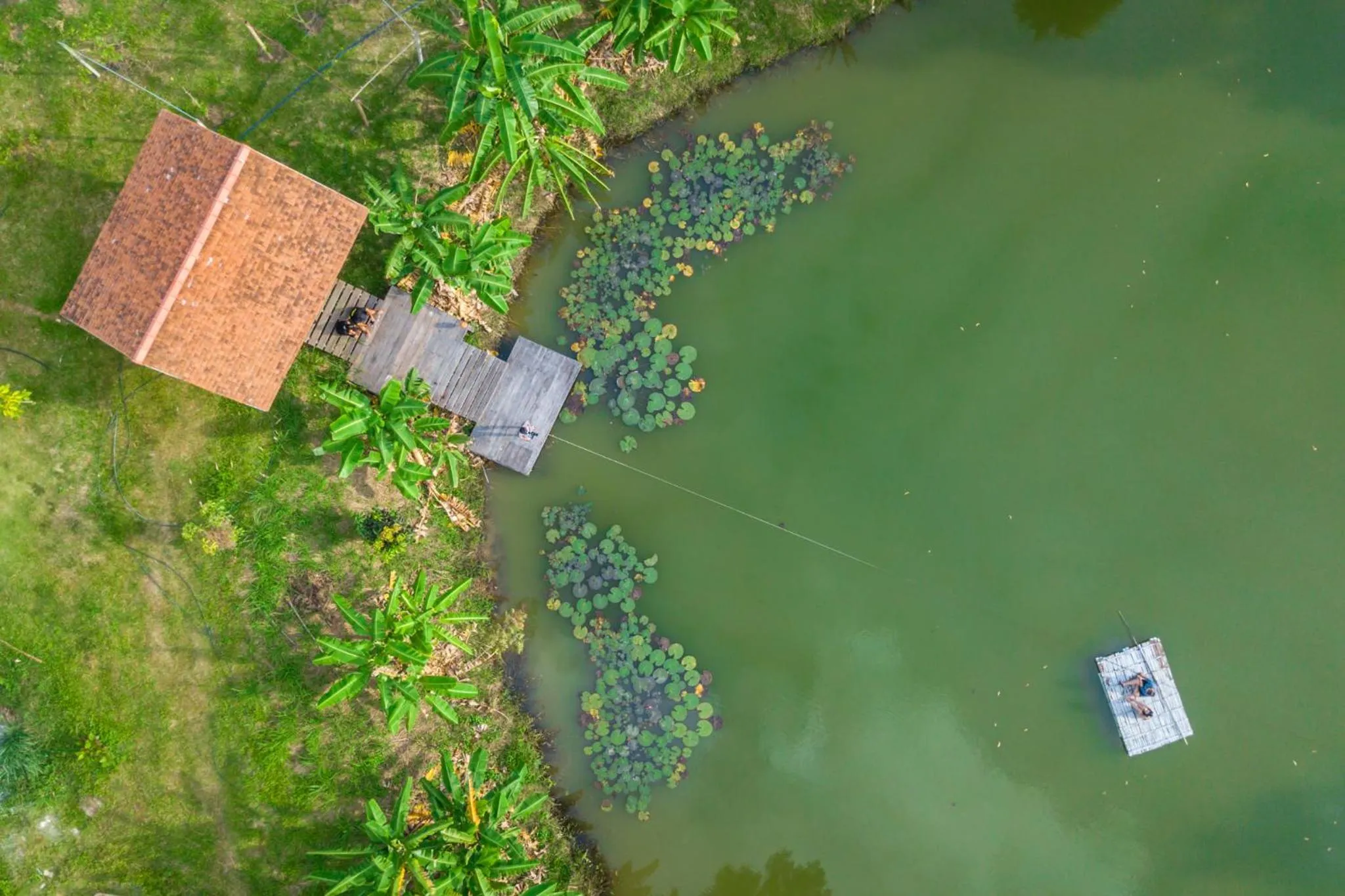 Bird's eye view in COOLLiving Farmhouse Organic