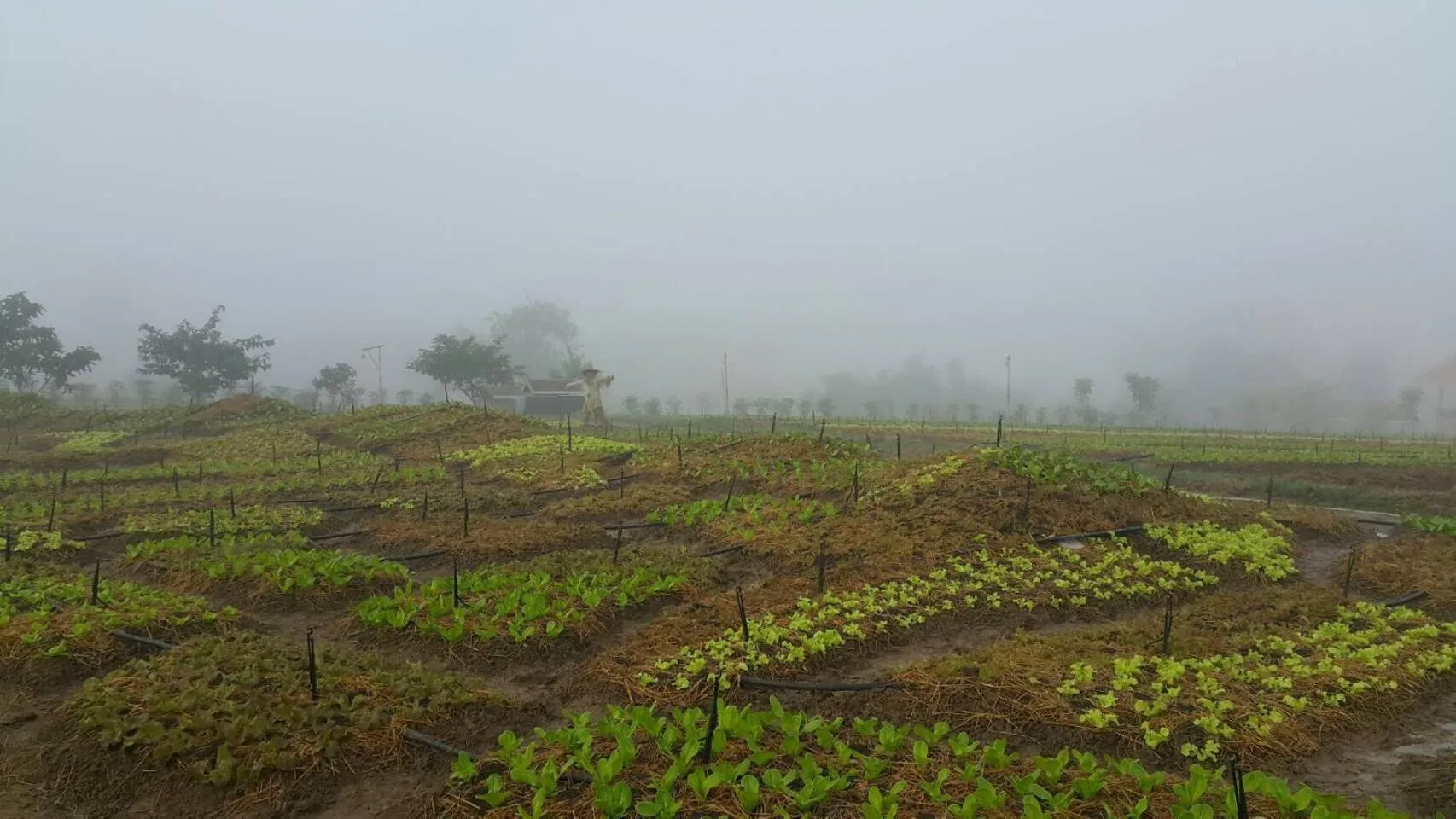 Activities in COOLLiving Farmhouse Organic