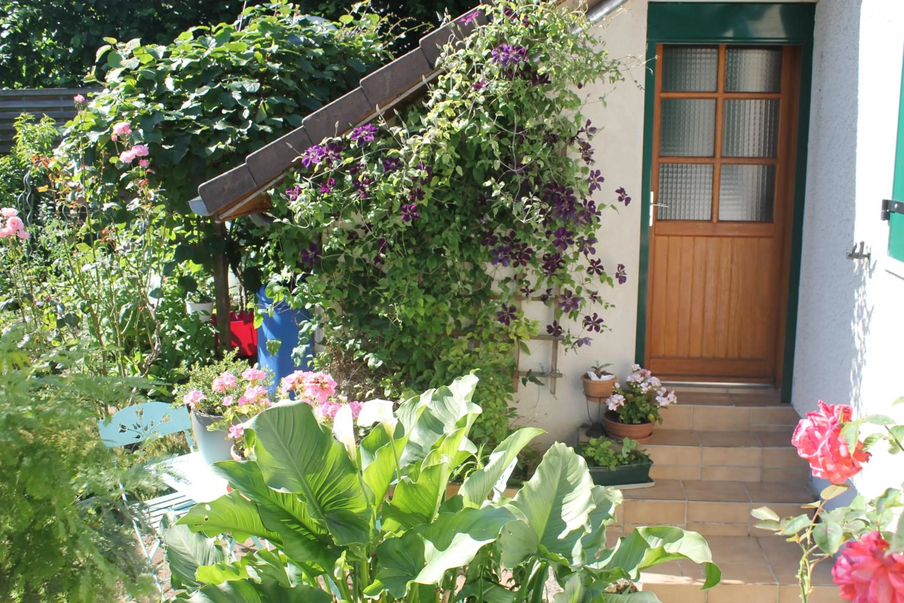 Chambre d'Hôtes "Orchidees"