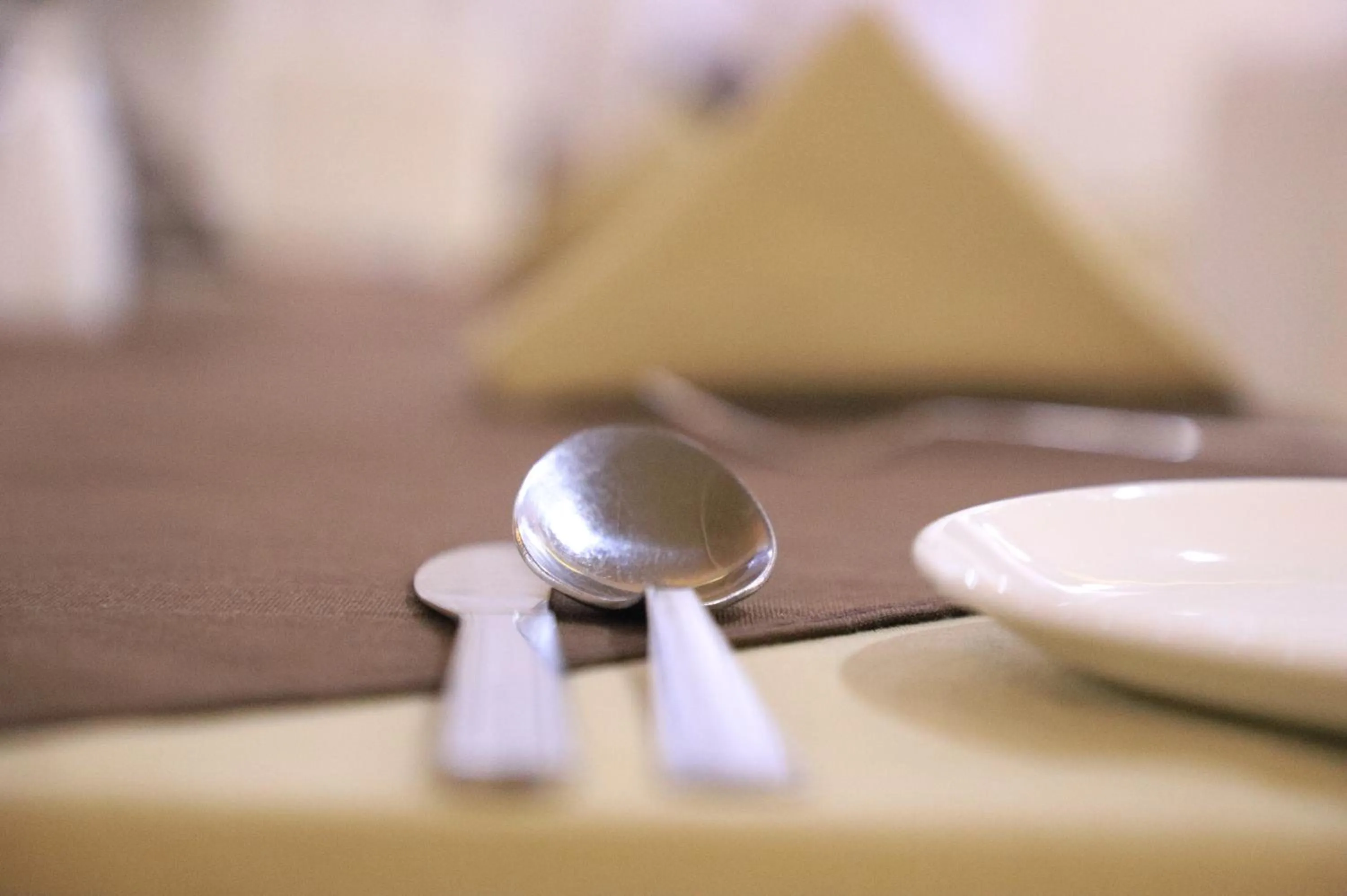 Restaurant/places to eat in Hotel Pushkar Legacy