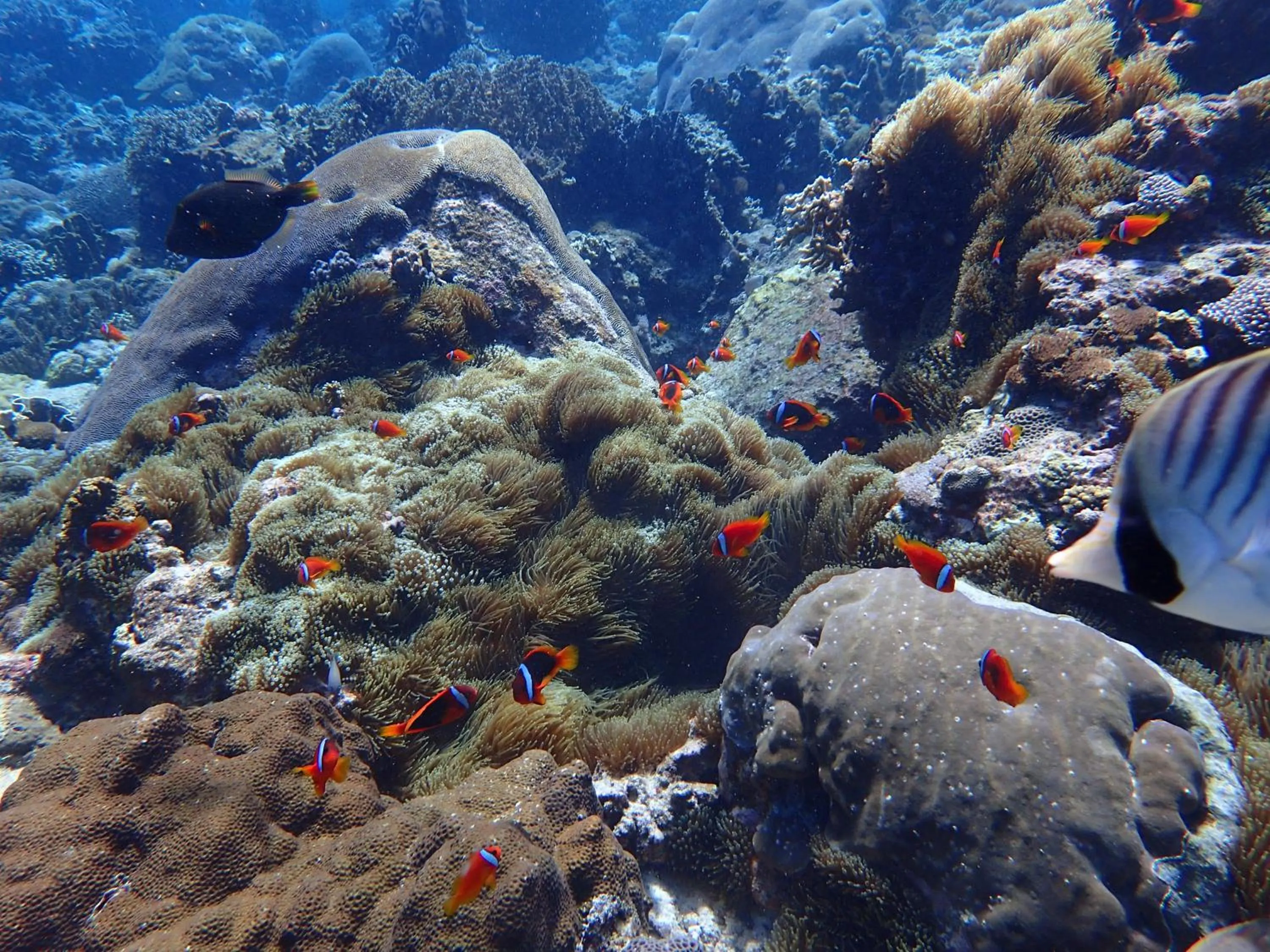 Good Viewing Spot B&B