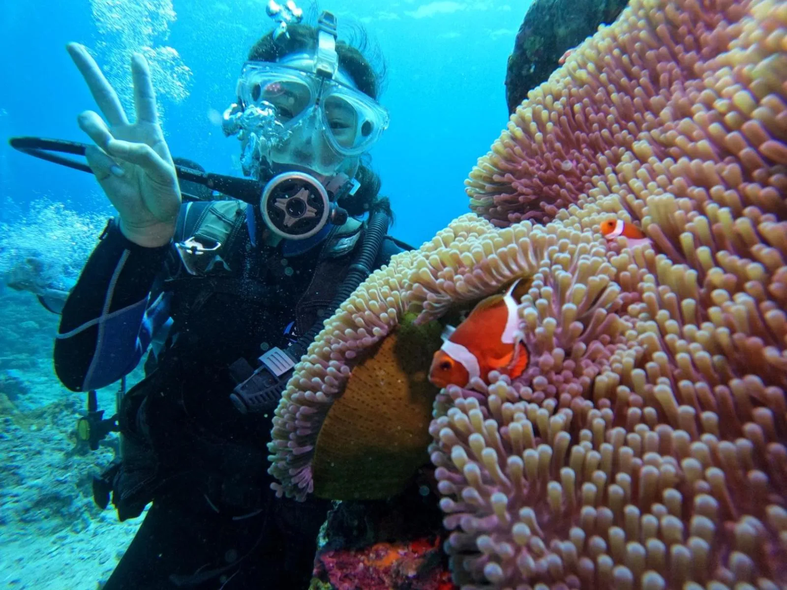 Good Viewing Spot B&B